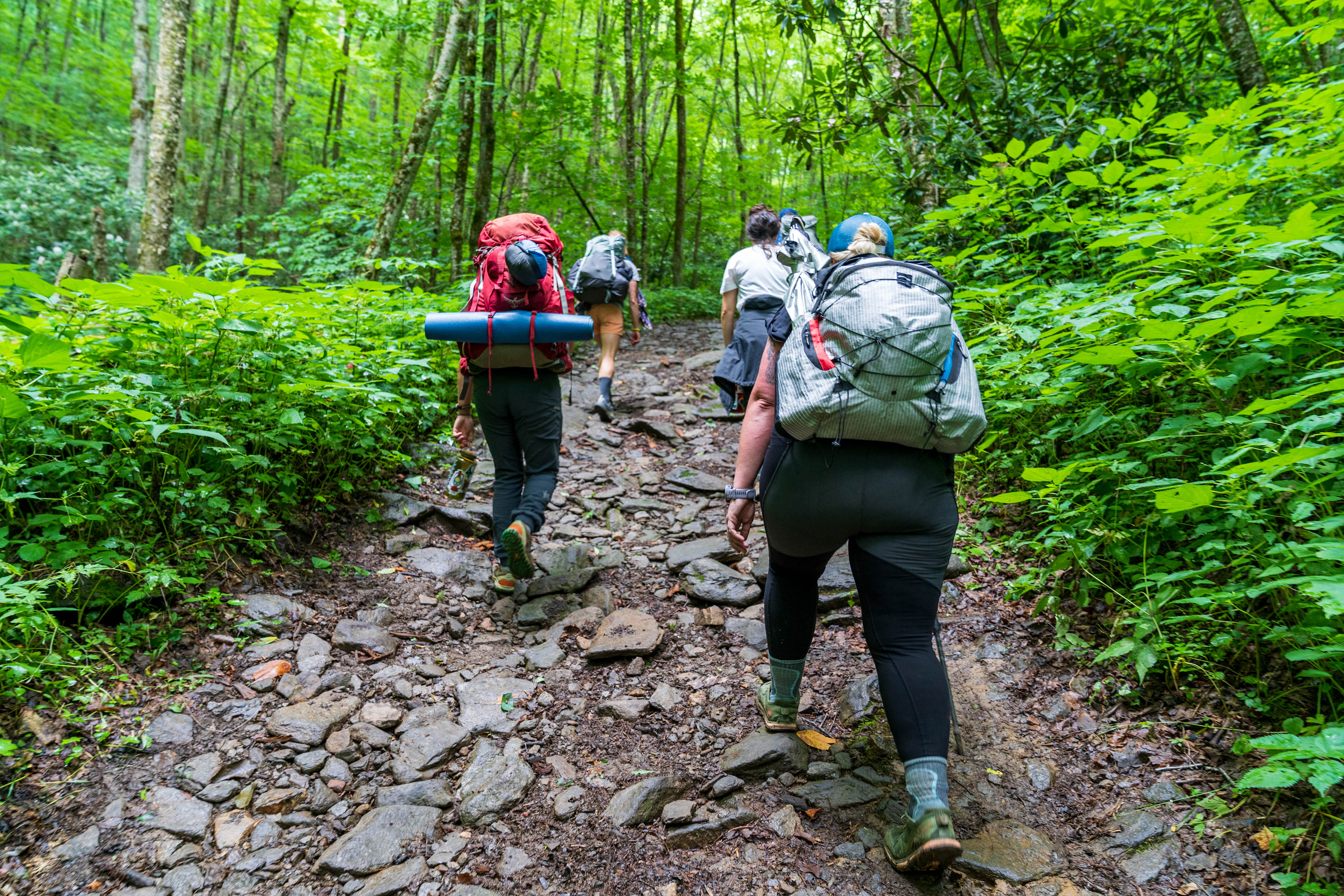 Mountain Top Cabins on Private Land