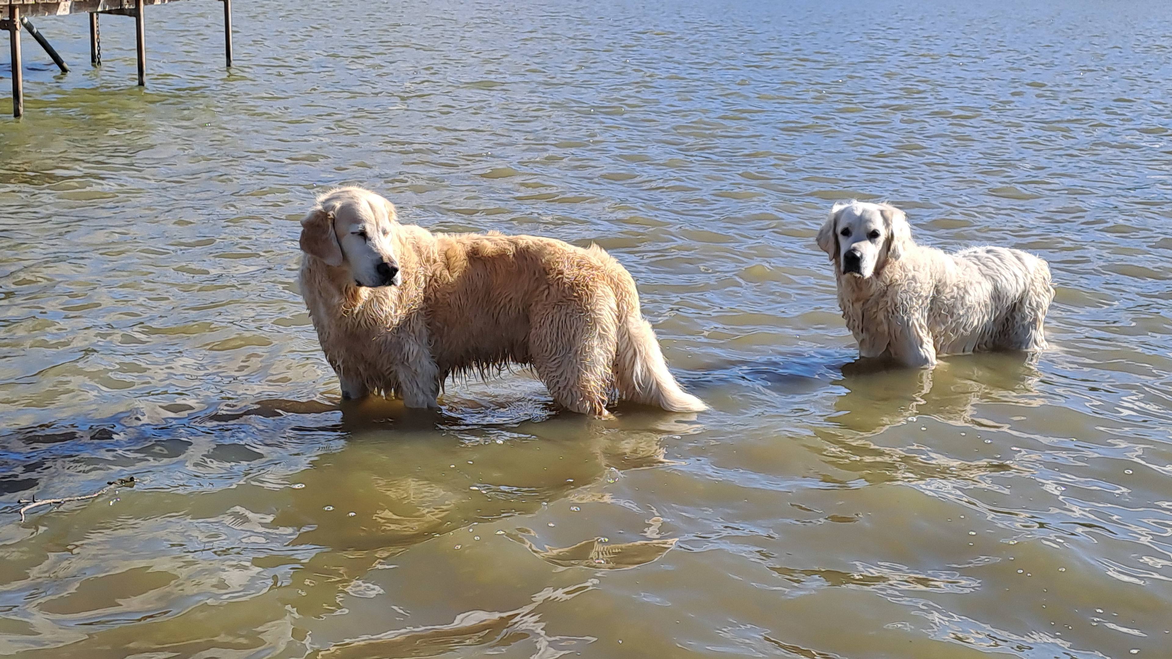 Tipsy Hill Located at Walker Flat