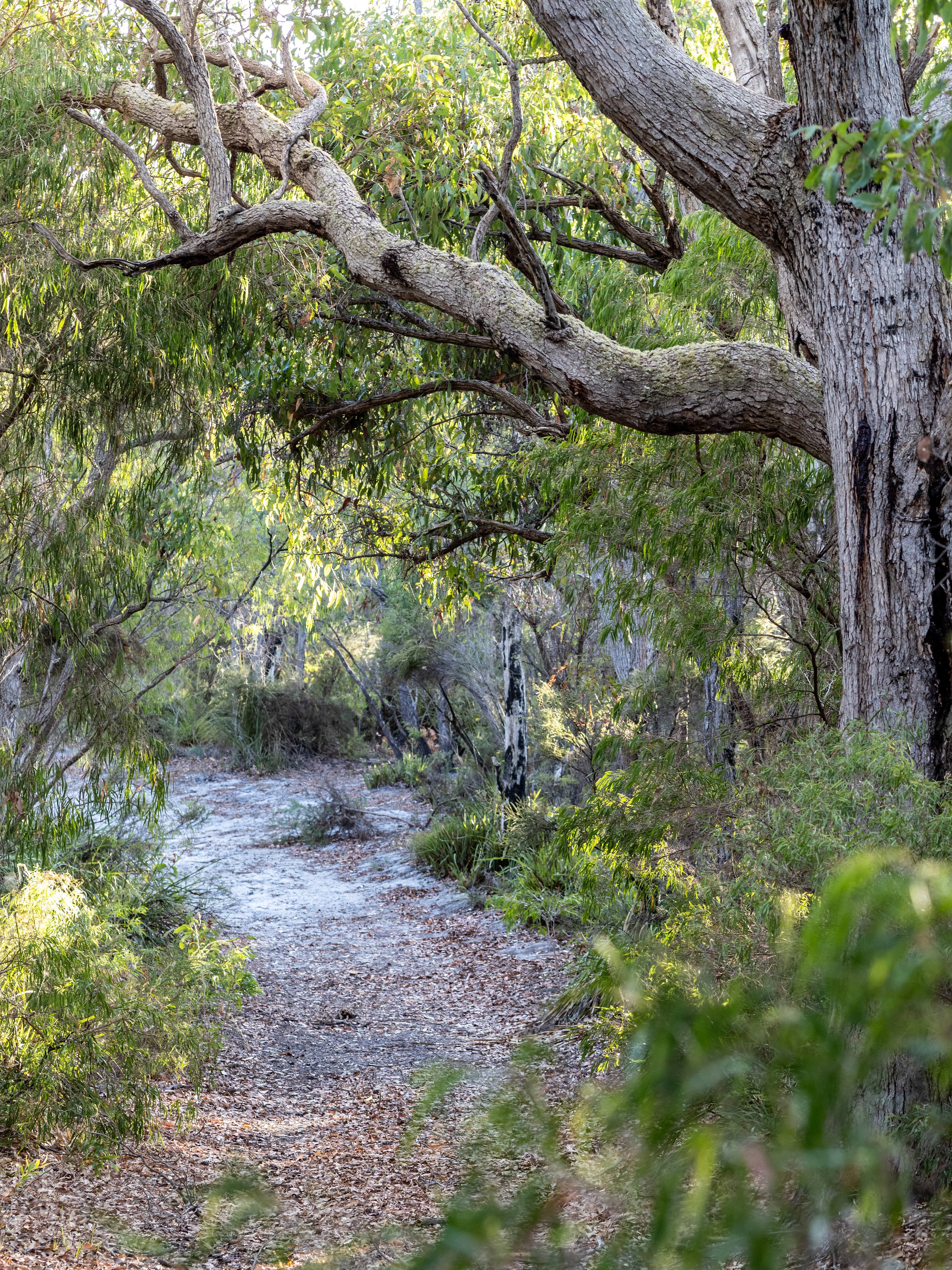 Dunmore Homestead Farmstay