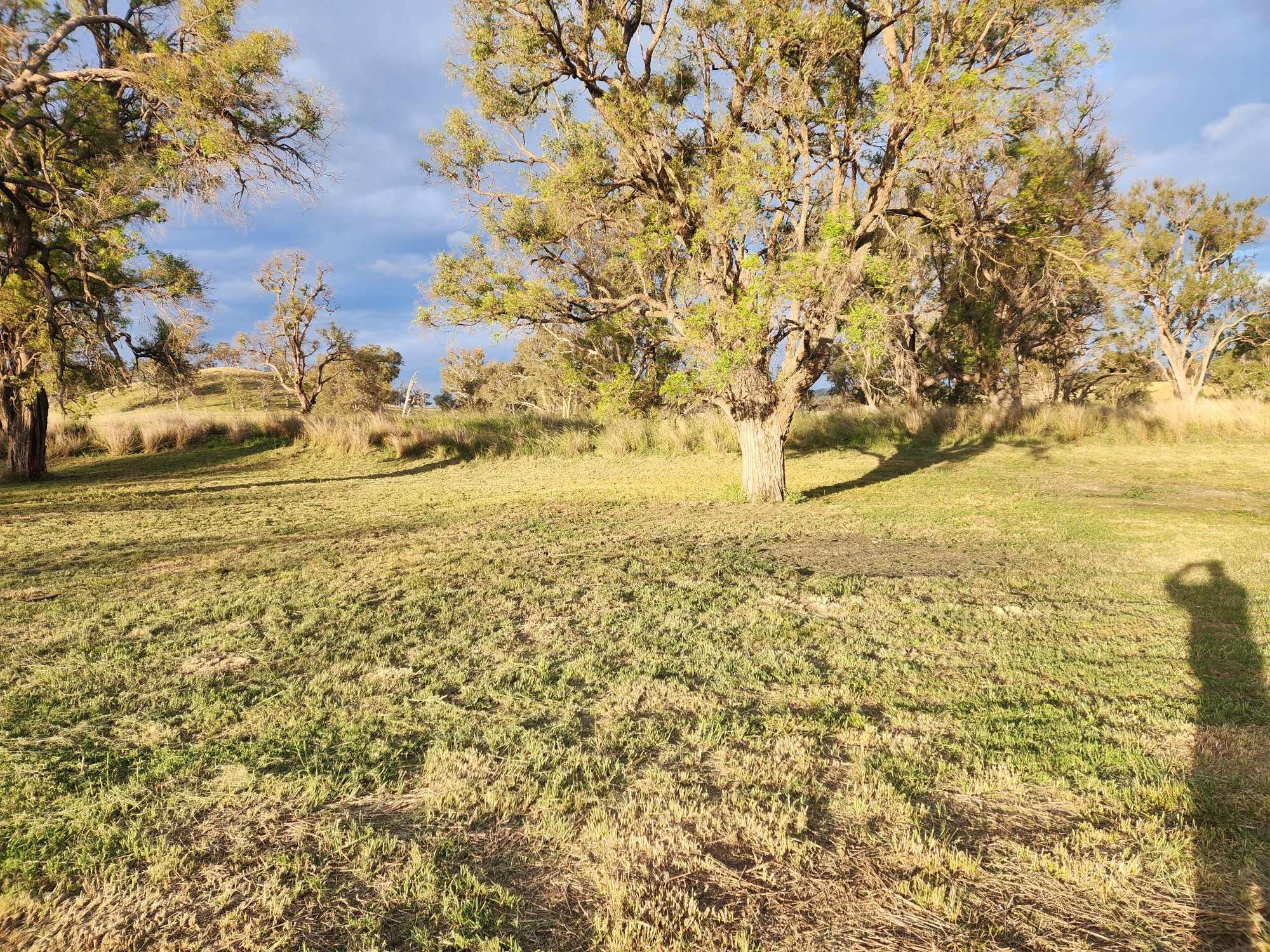 3A Camping experience.