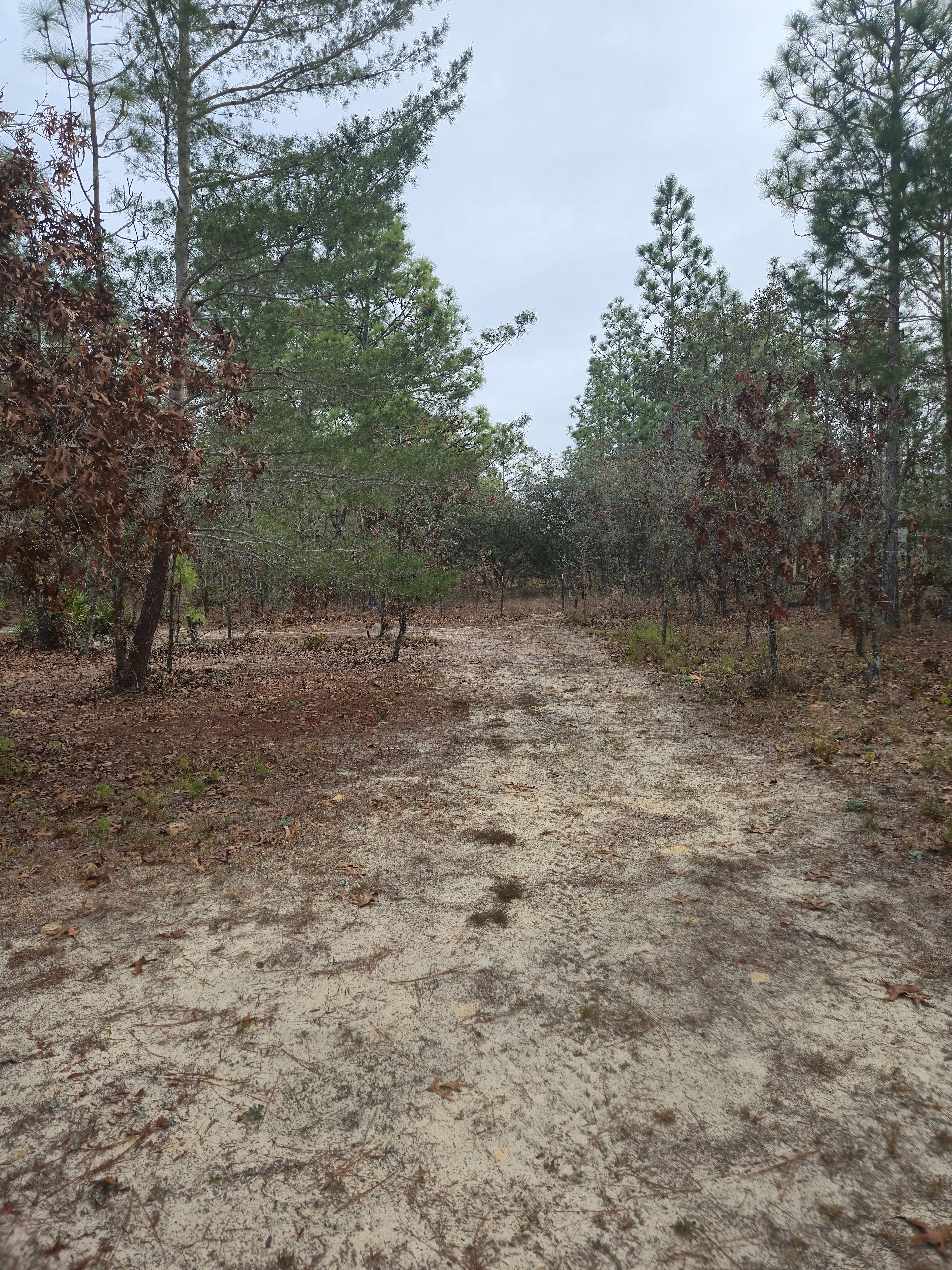 Camp Cavalier