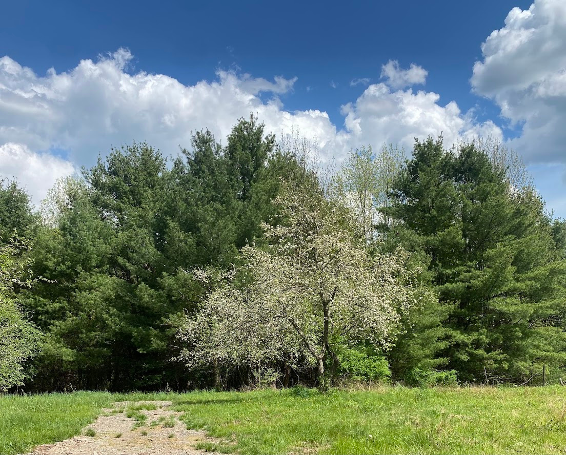 Ever After Farms NY, LLC