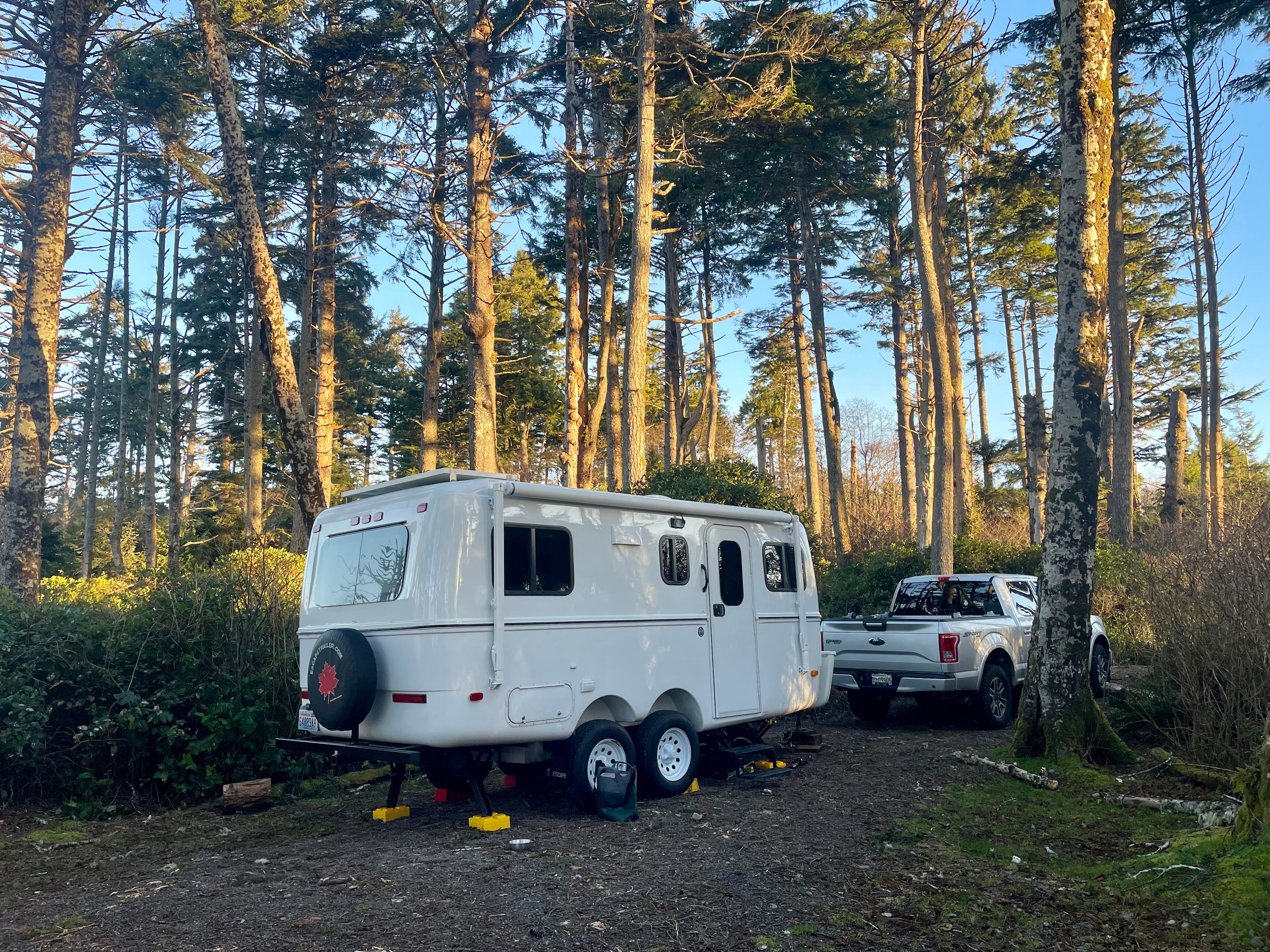 Wild WA Coast Lookout ($75 - $125)
