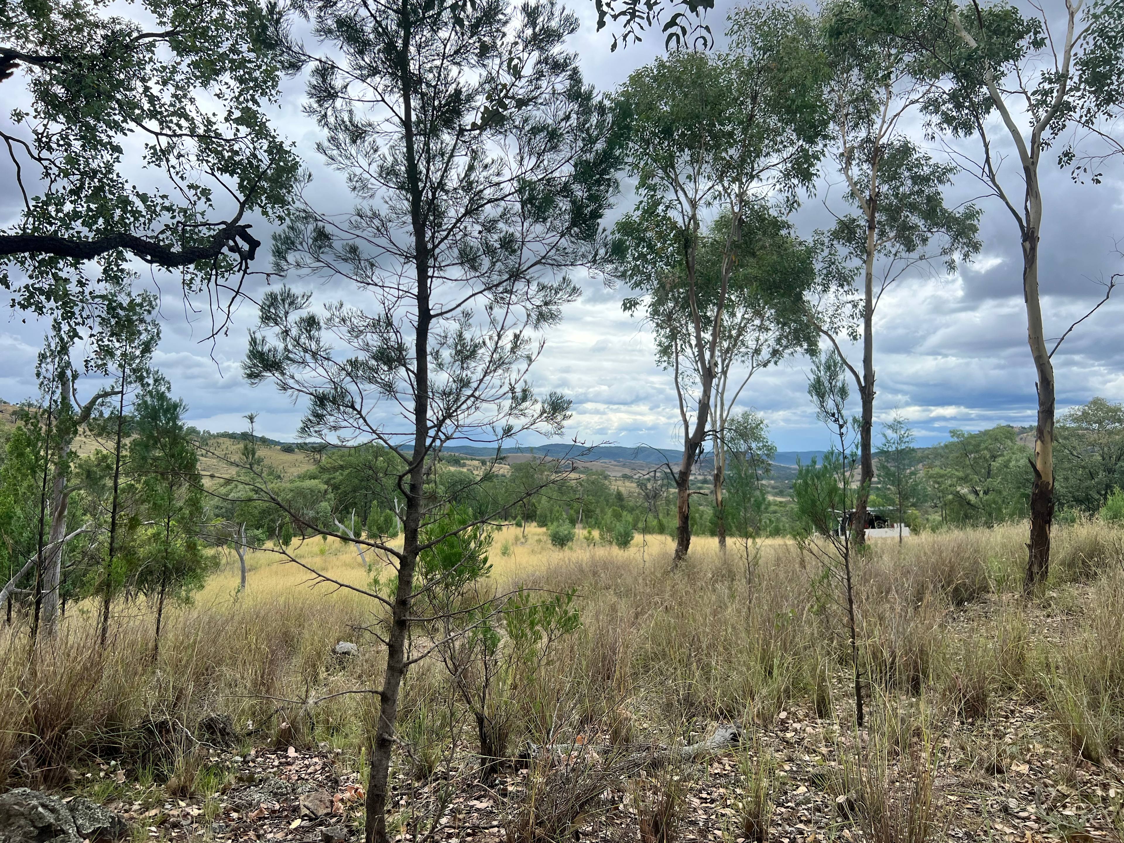 Serenity Ranch (horse-friendly)