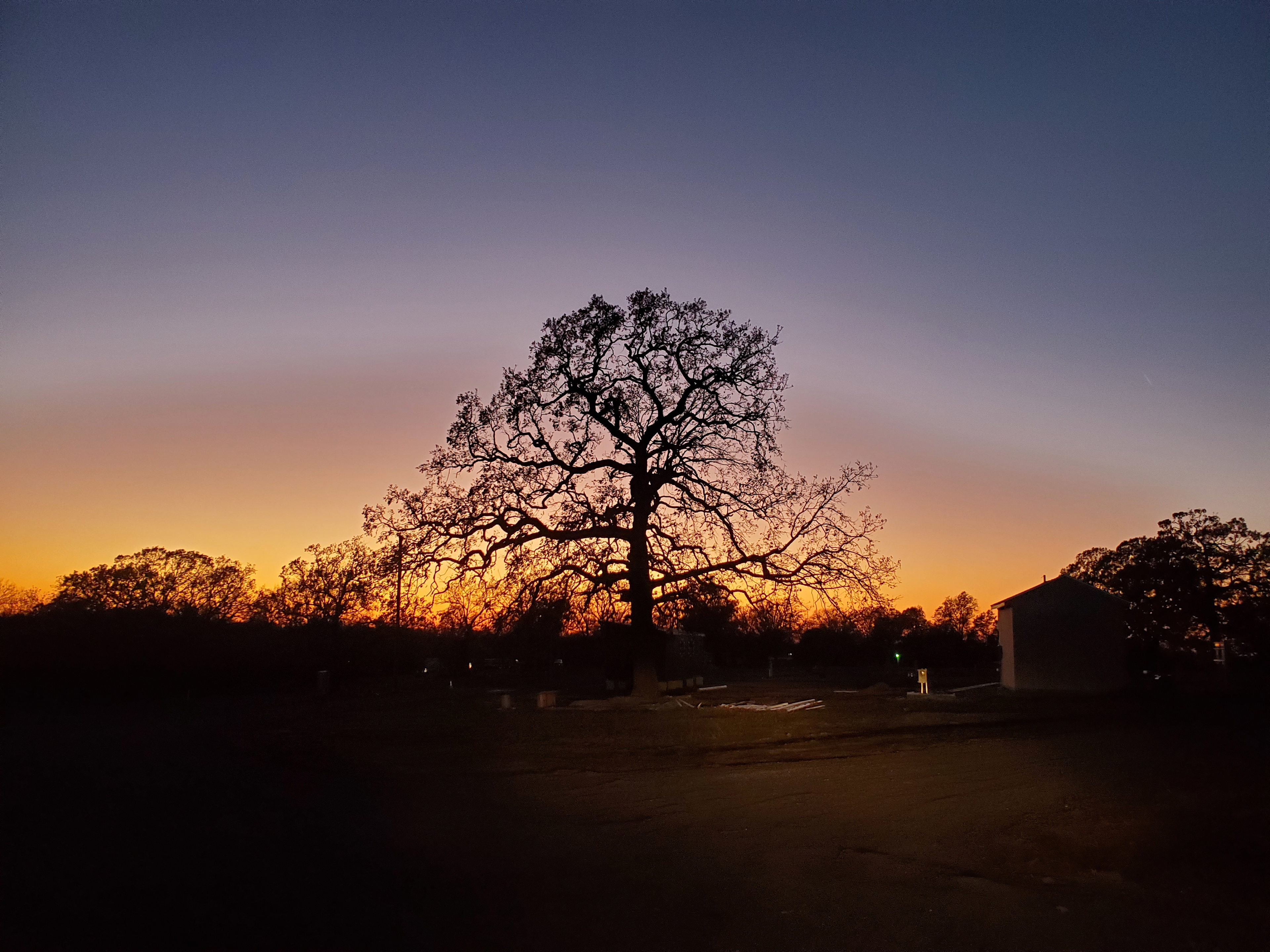 Redbud Tiny Home & RV Resort