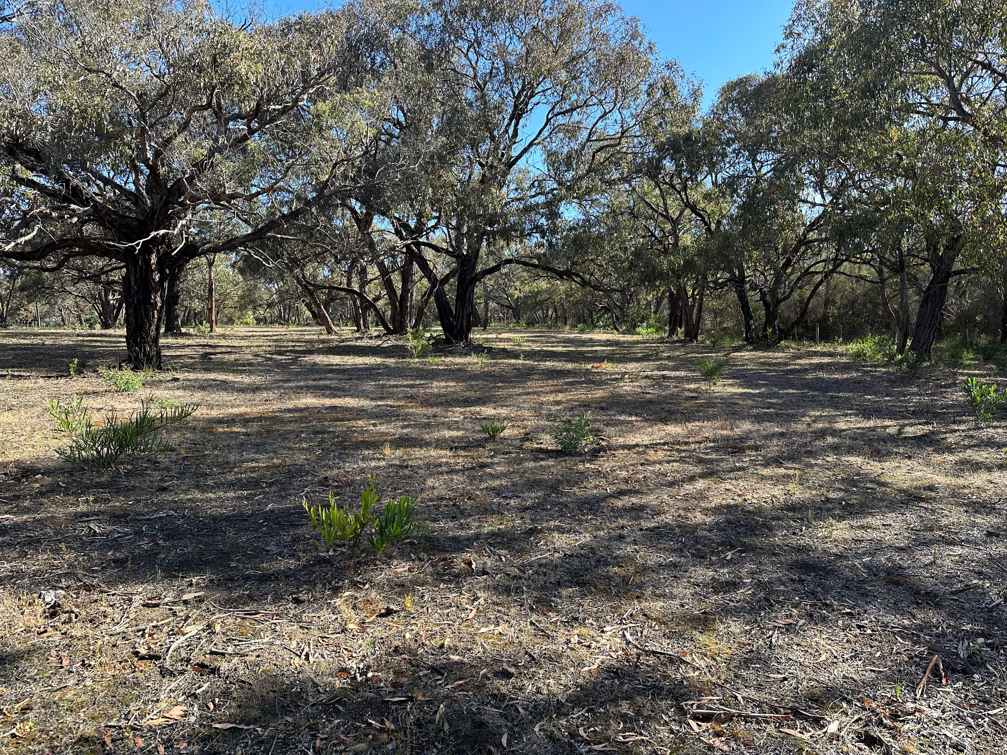 Bellbrae Bush Retreat