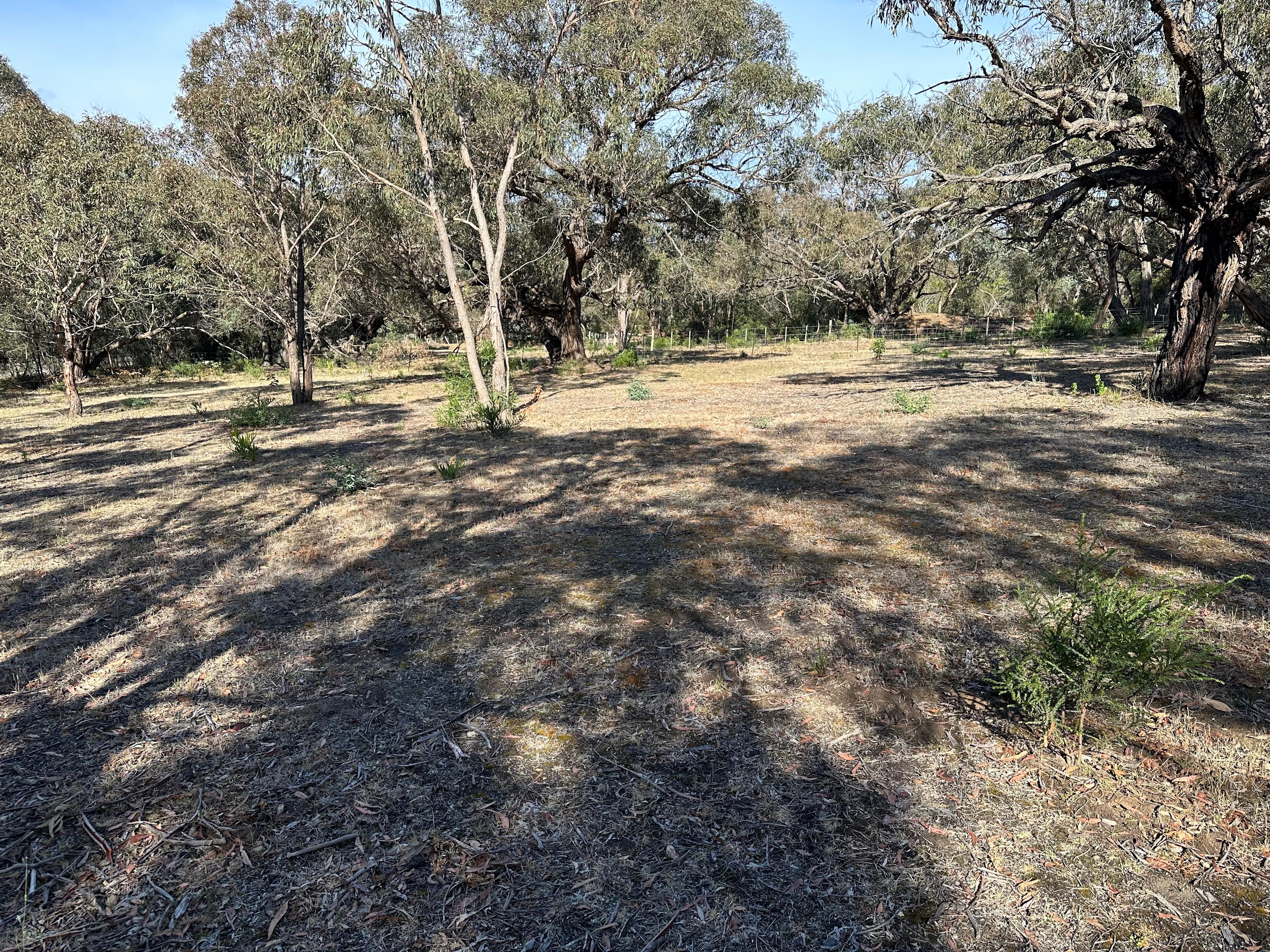Bellbrae Bush Retreat