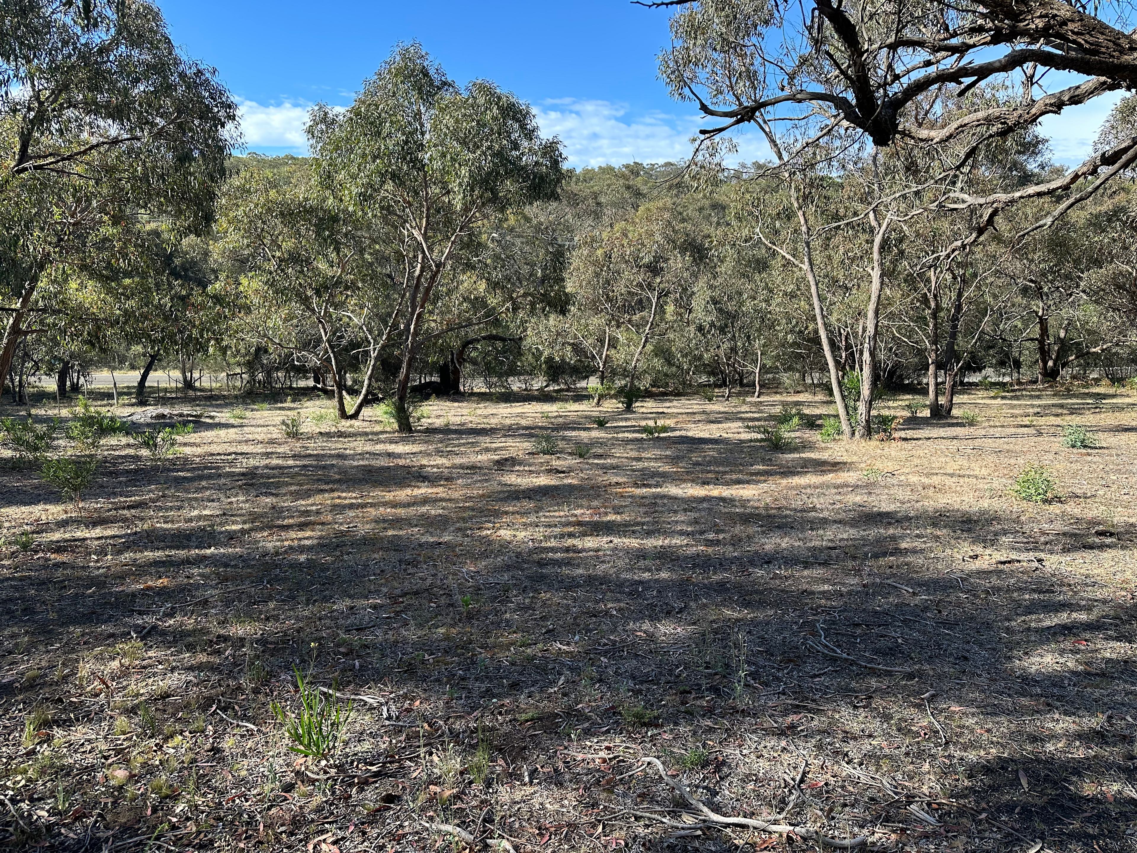 Bellbrae Bush Retreat