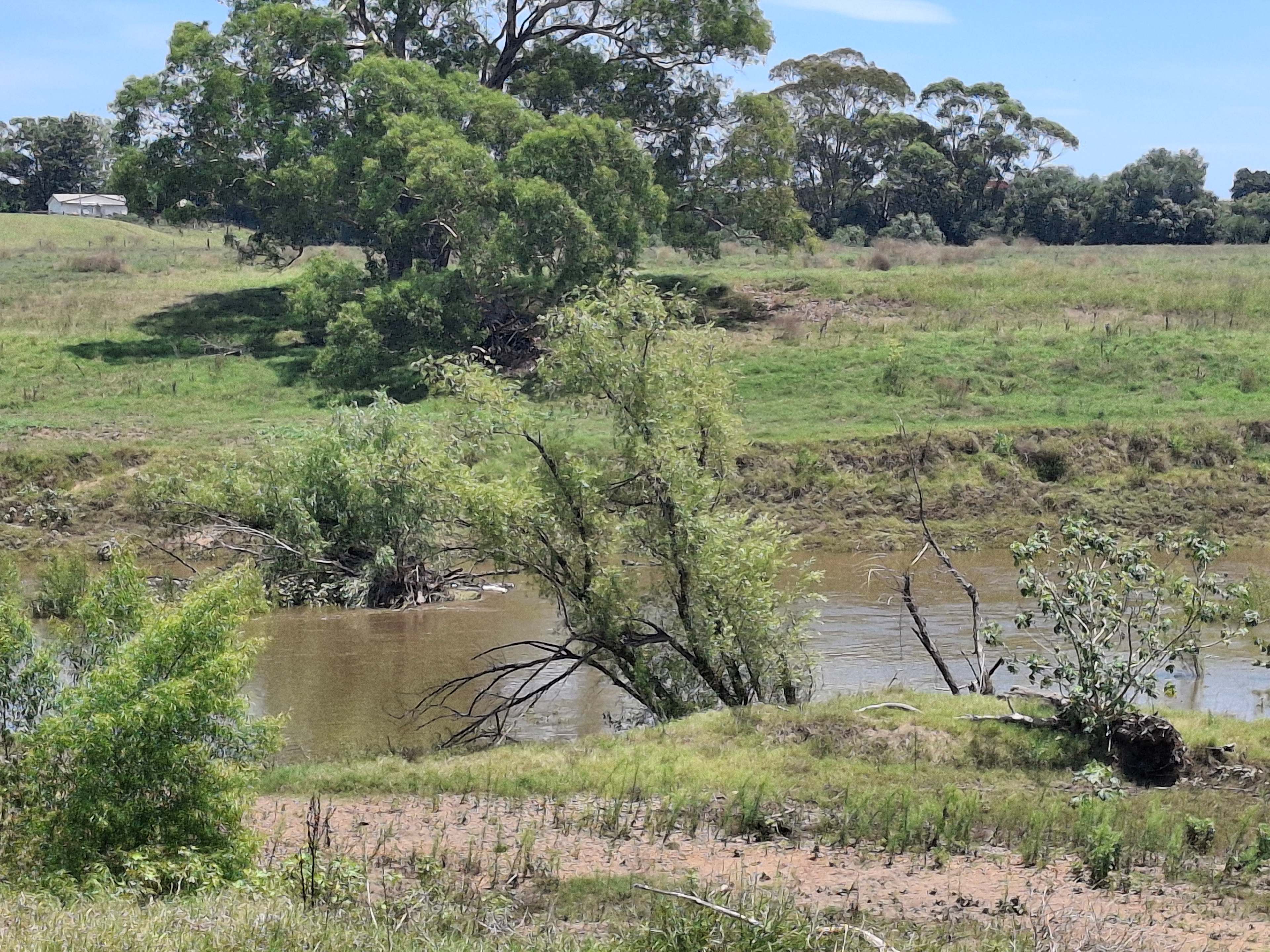 Ayr Farm Riverside Camp