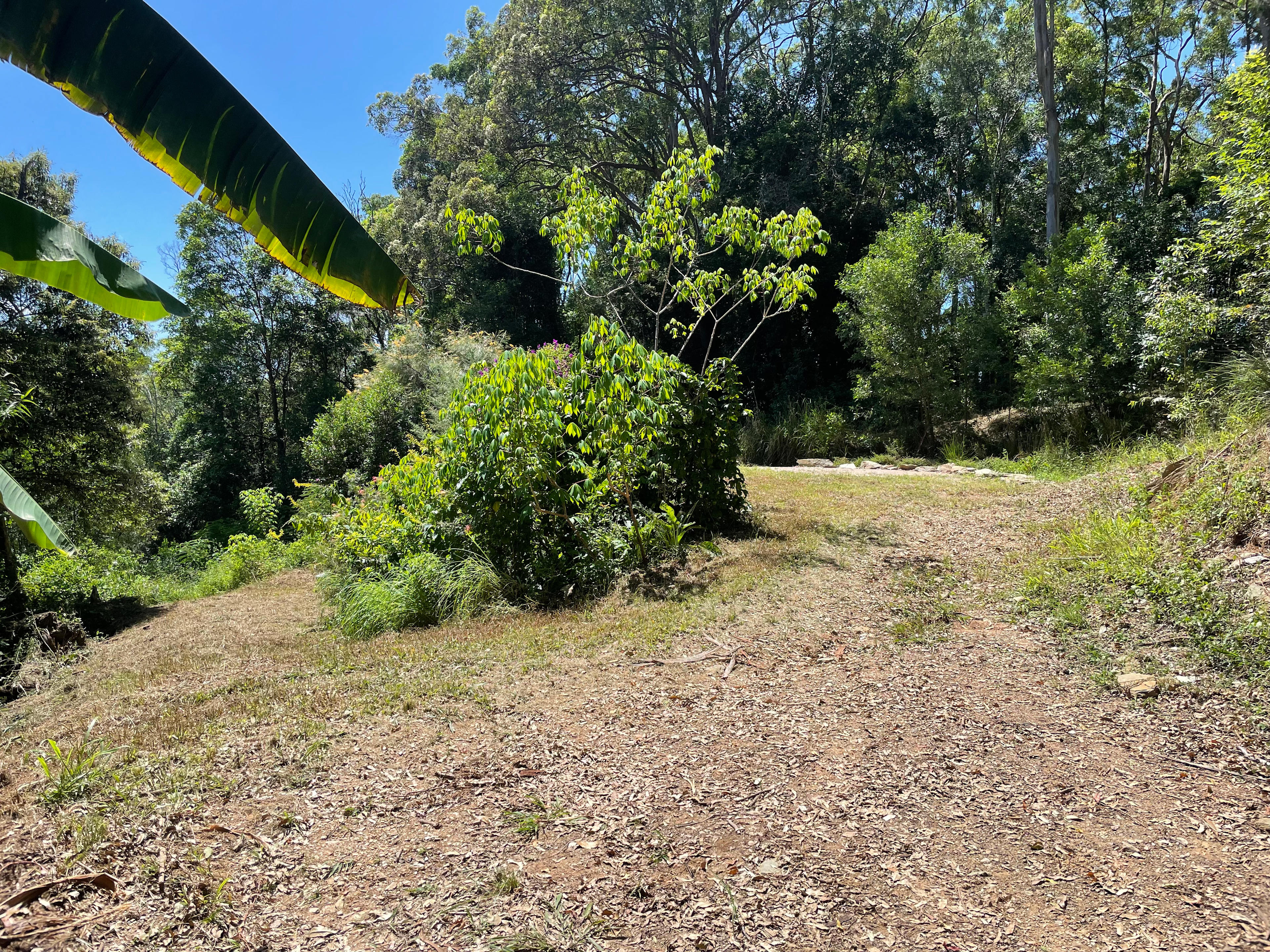 Sustainable Secluded Forestry Camp