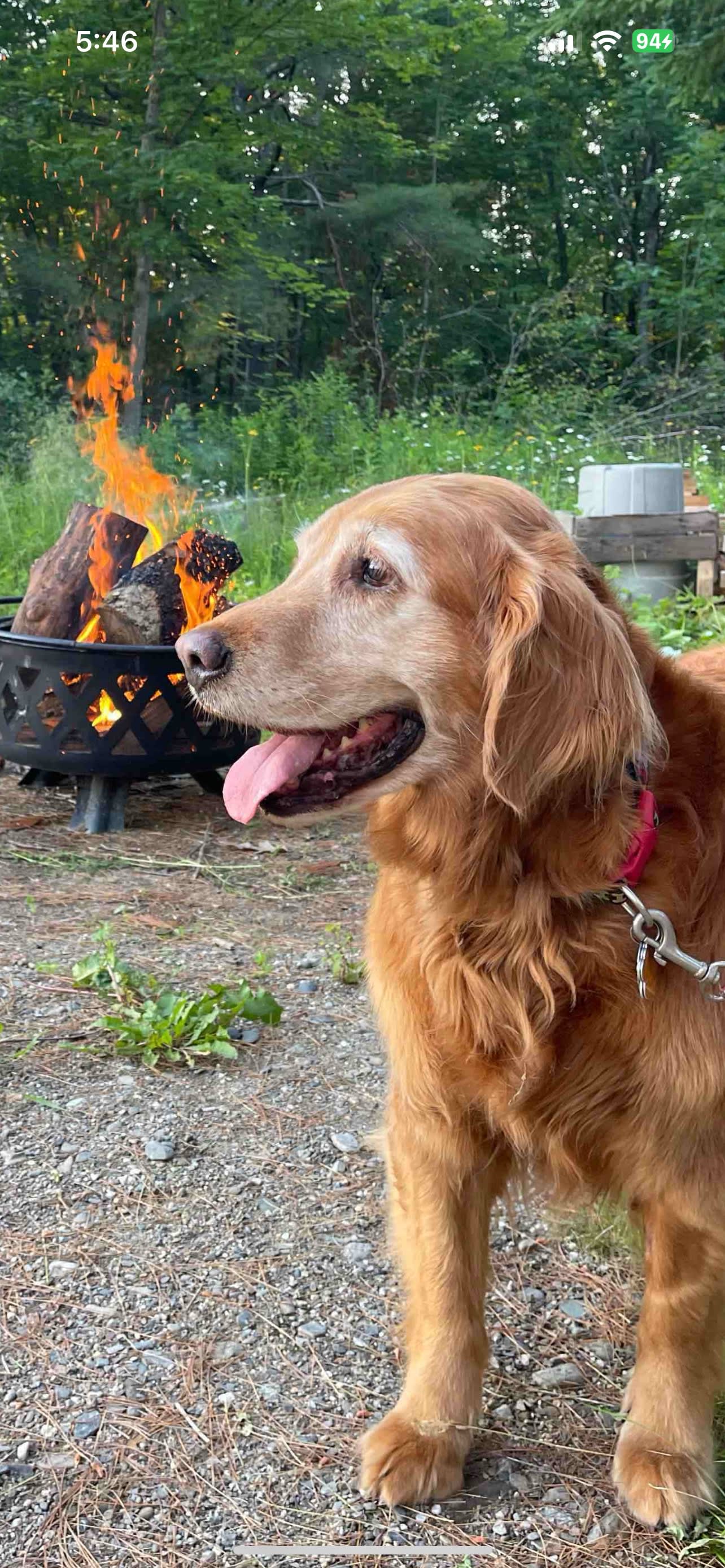 Feild View Paradise Campground
