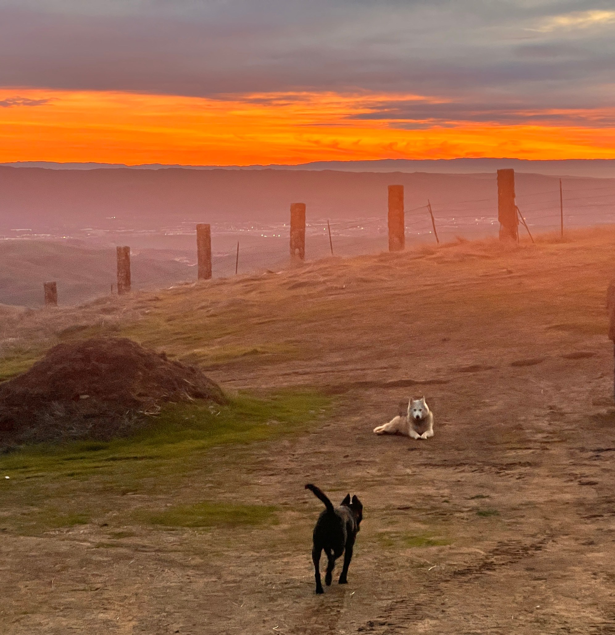 Storybook hilltop Retreat