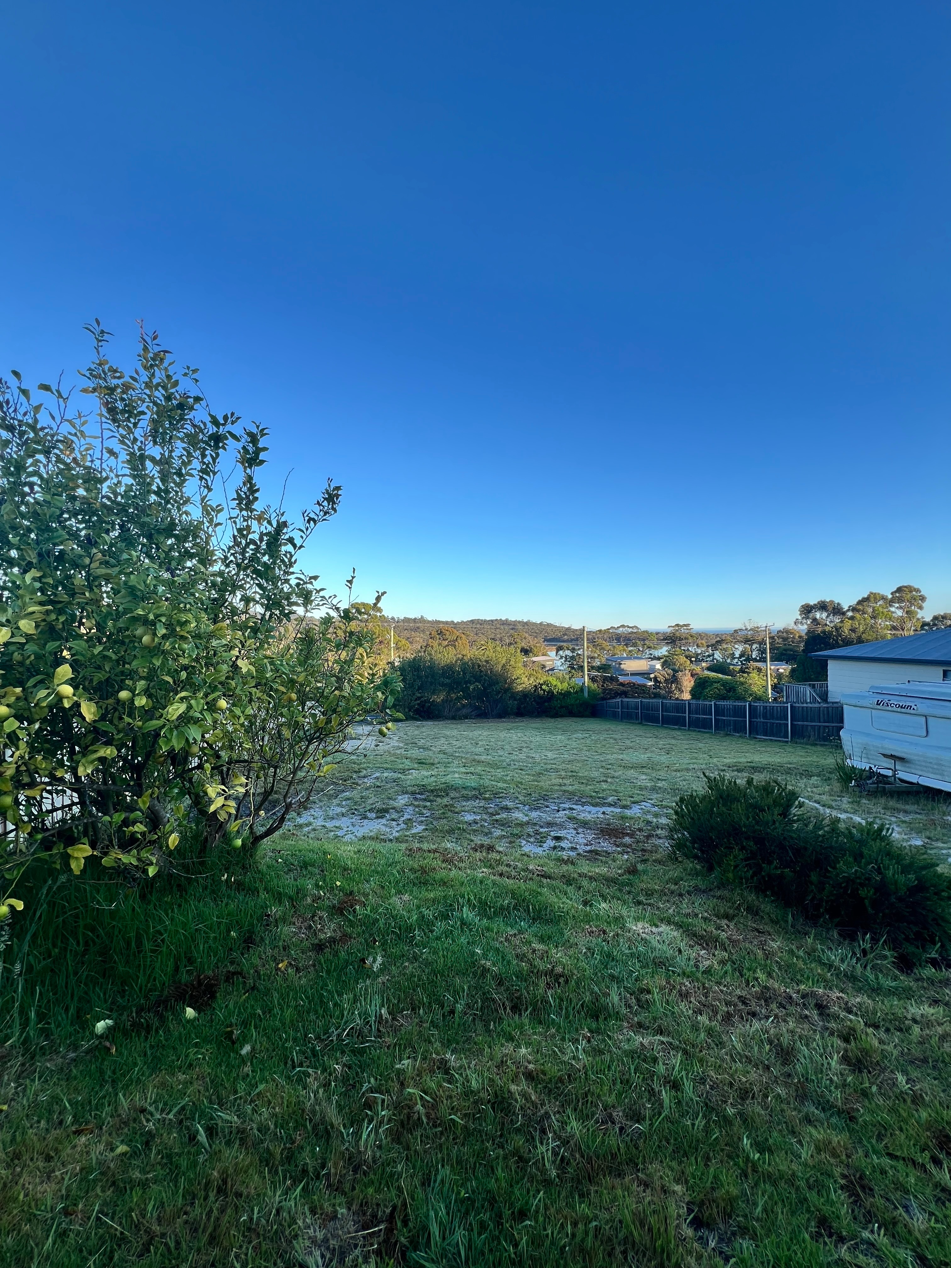 Our lemon tree - help yourselves to lovely lemons during your stay.