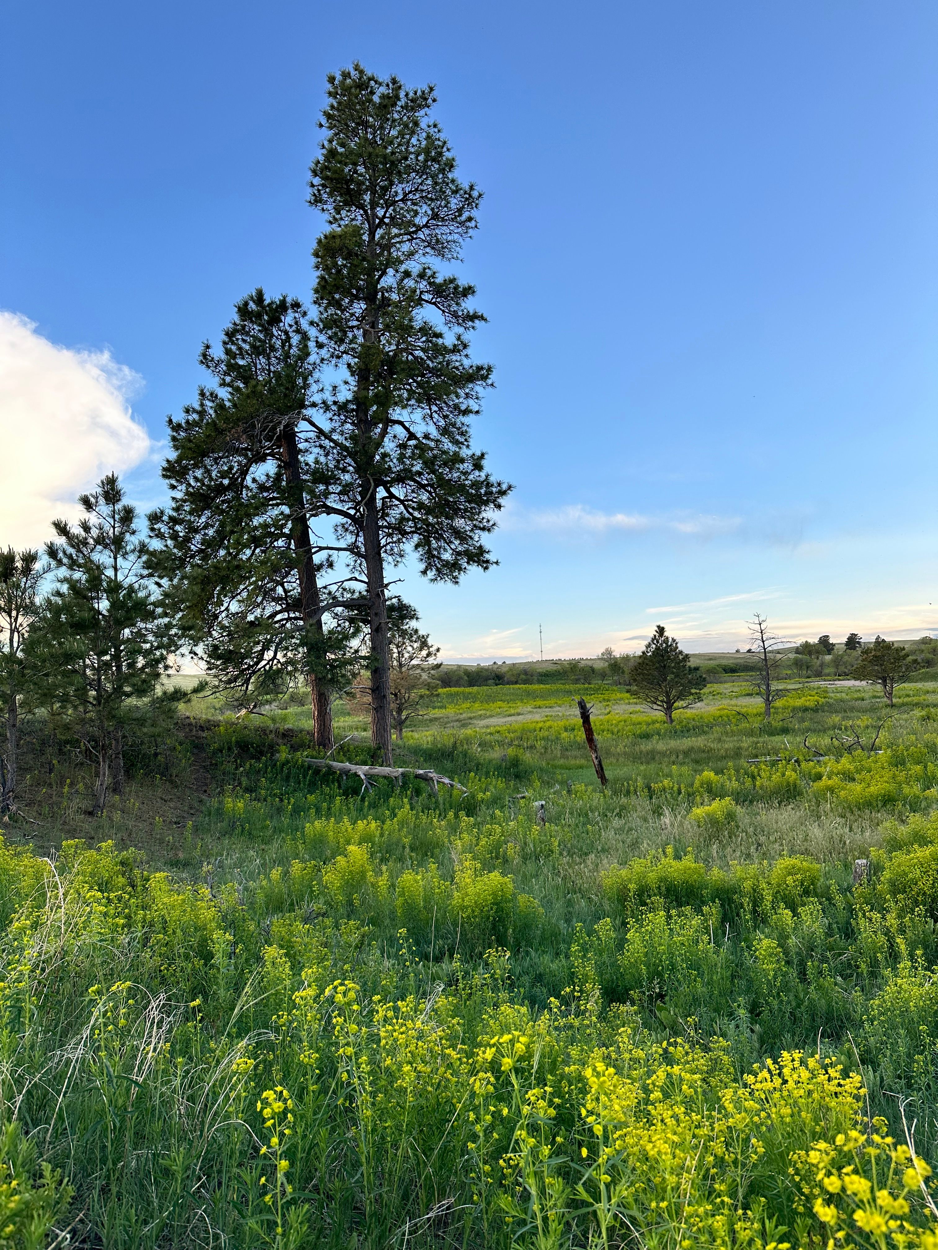 Private 120-Acre Horse Sanctuary