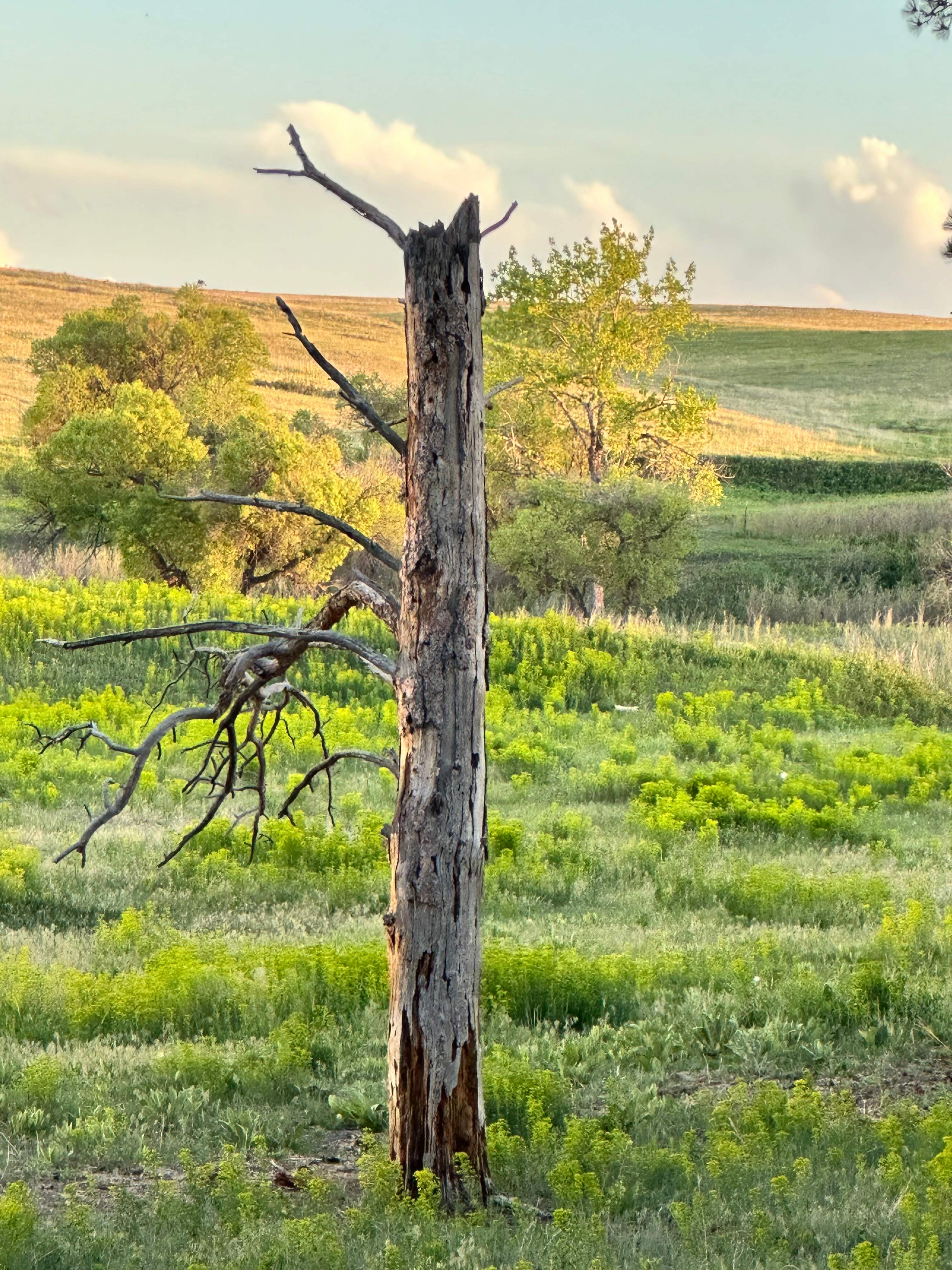 120 Acre Animal Sanctuary