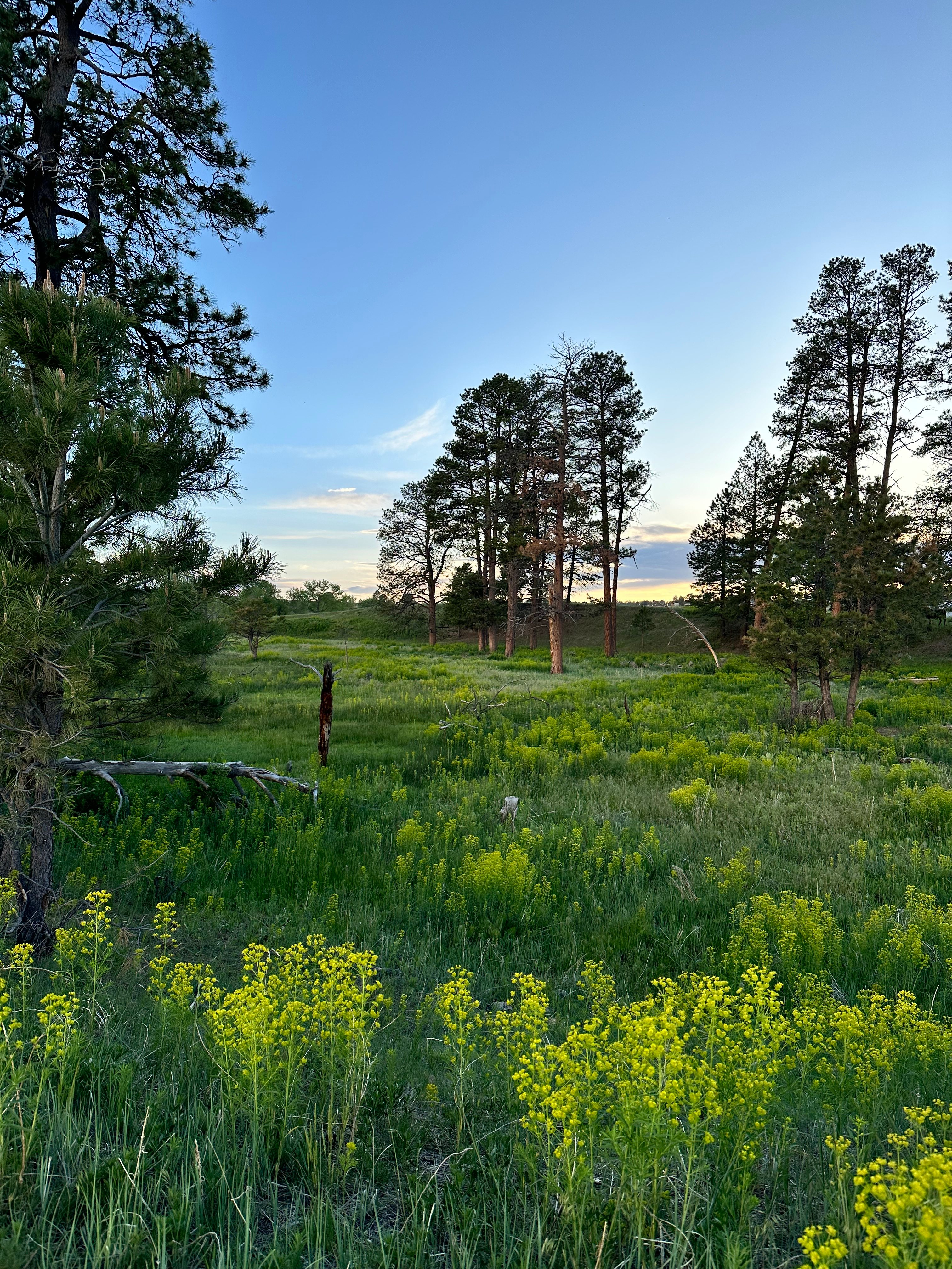 Private 120-Acre Horse Sanctuary