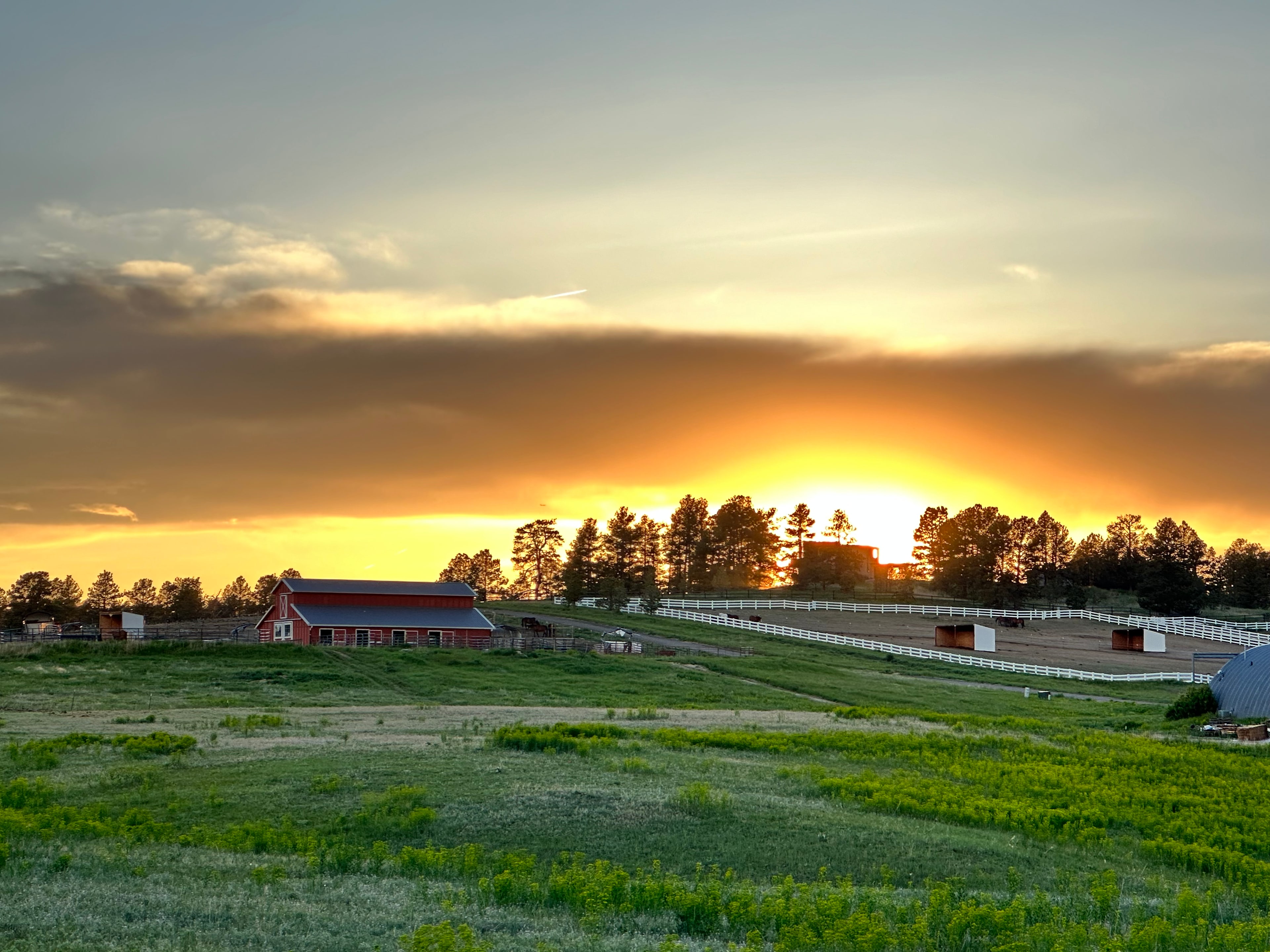 Private 120-Acre Horse Sanctuary