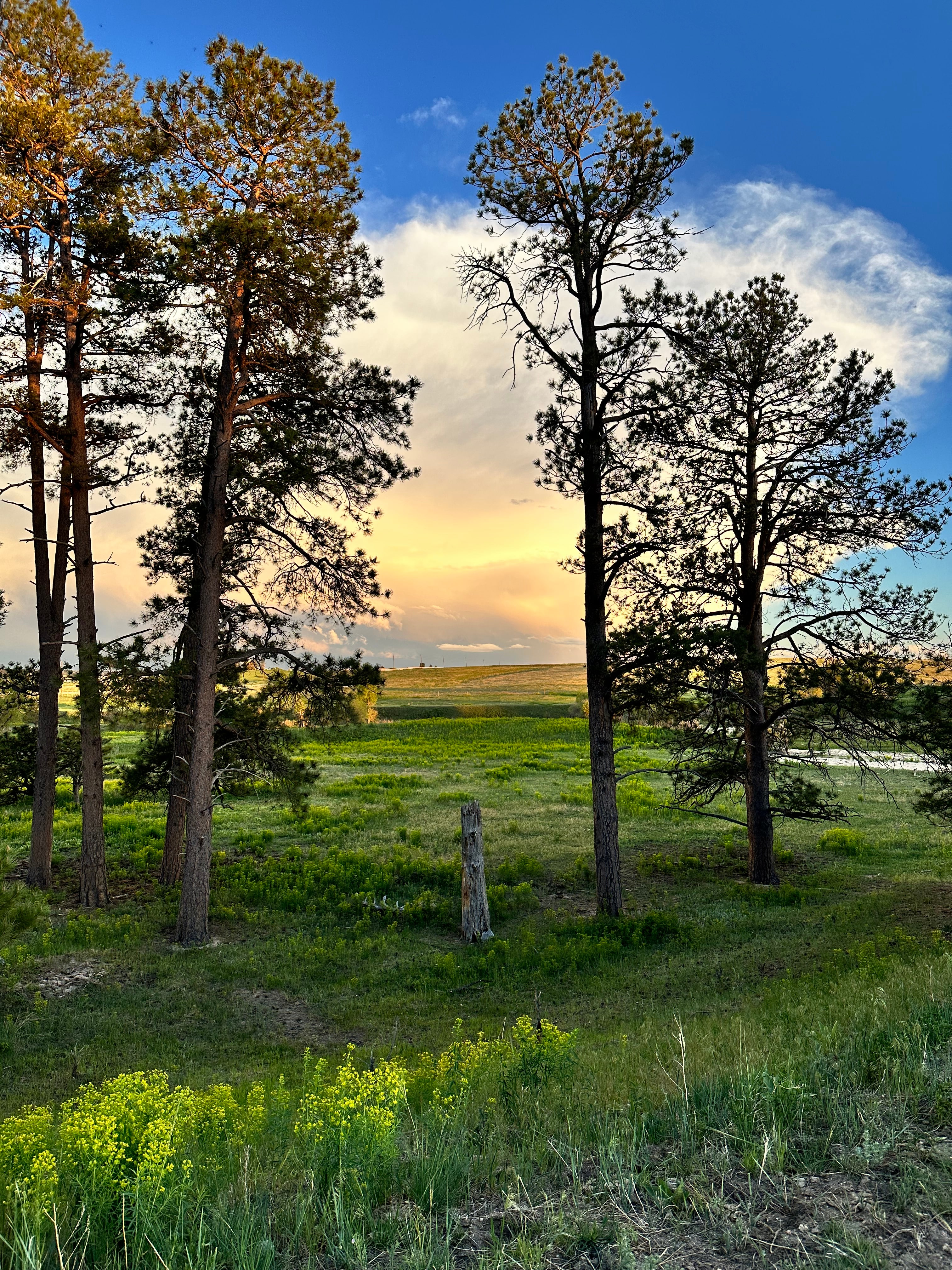 Private 120-Acre Animal Sanctuary