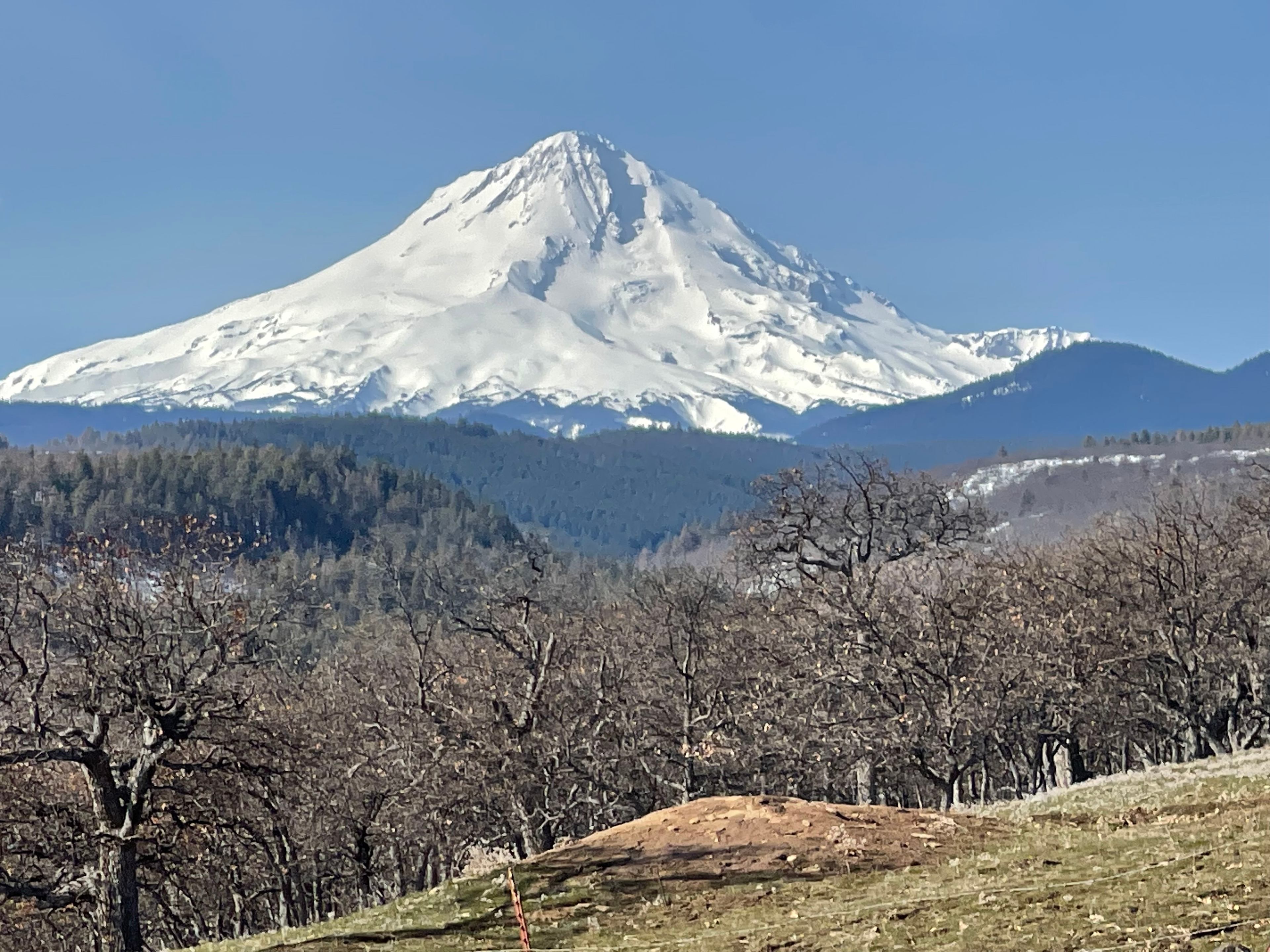 Beautiful view of Mt. Hood