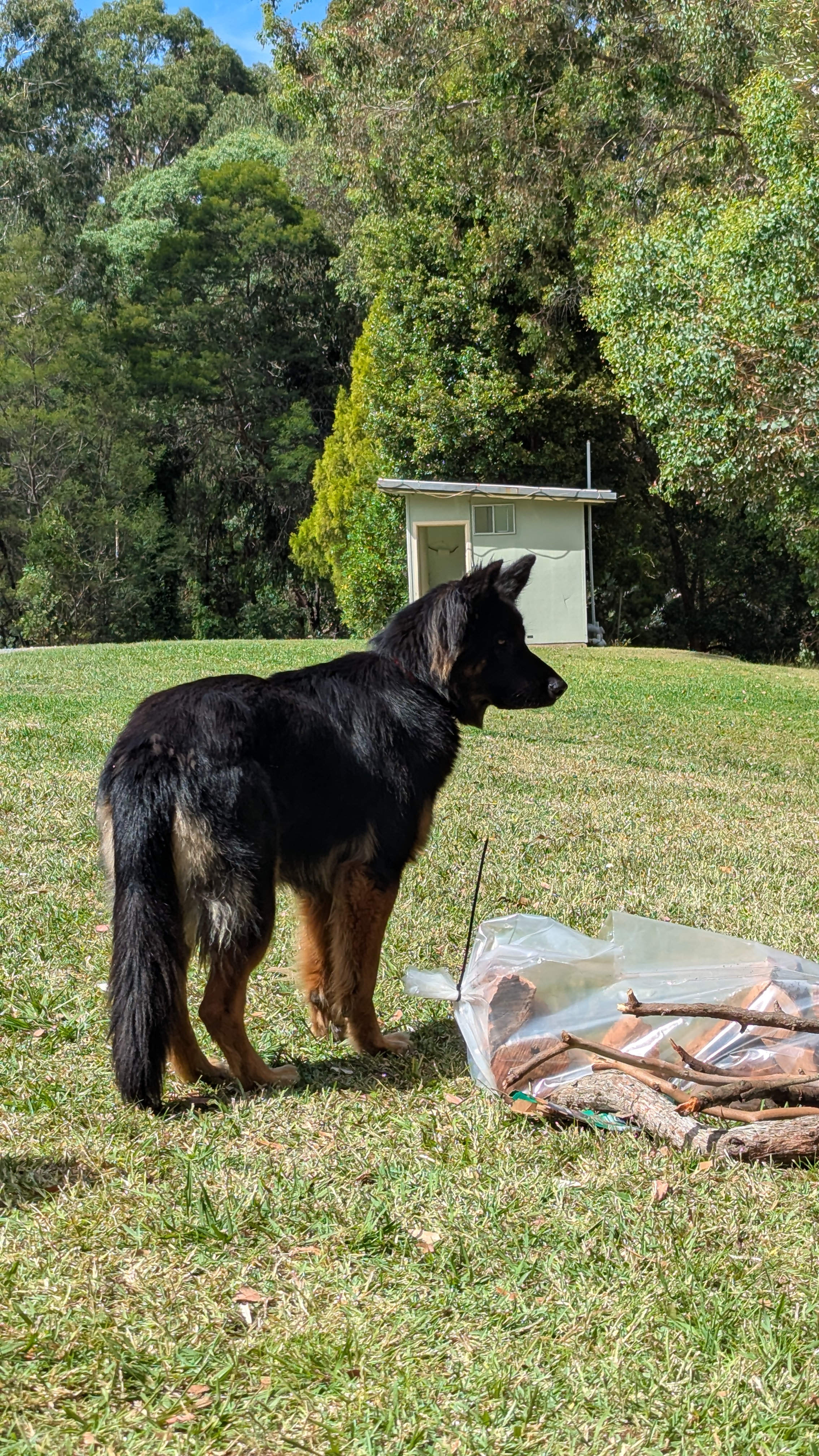 The Old Blackwood Mill