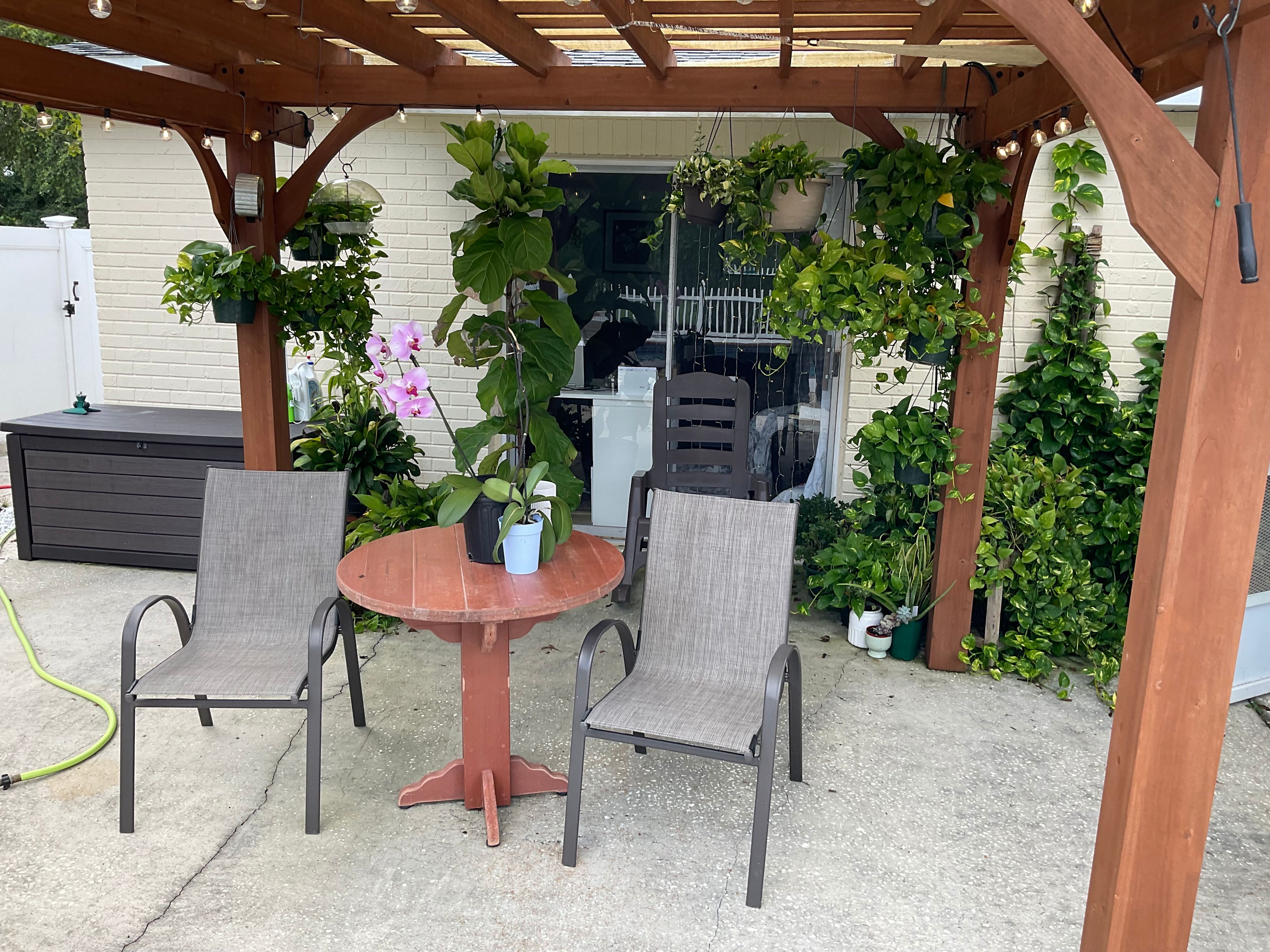 Cindy’s Palm Retreat