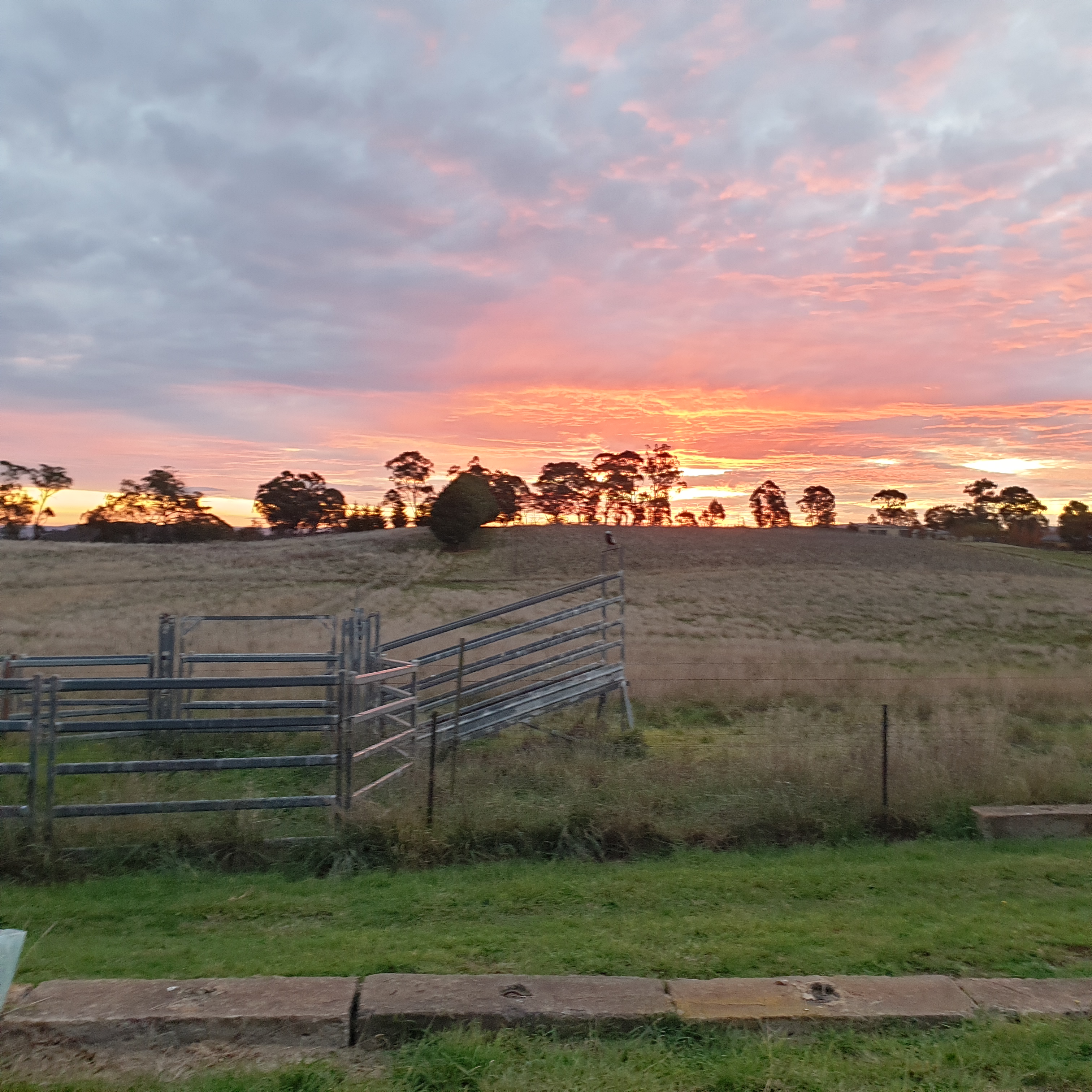 Orangewood Farm, Pool, Hilltop View