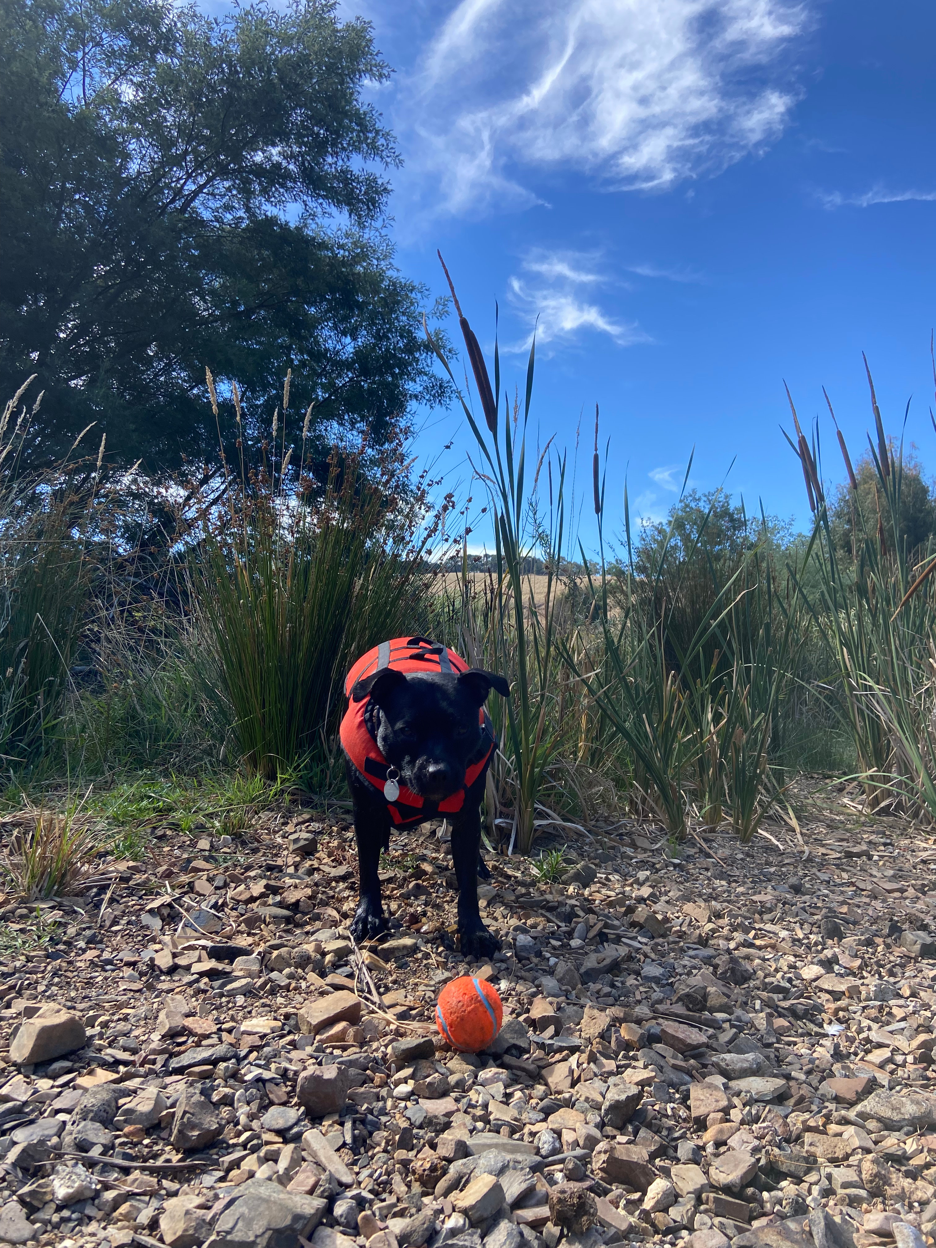 Summerleigh Homestead, circa 1876