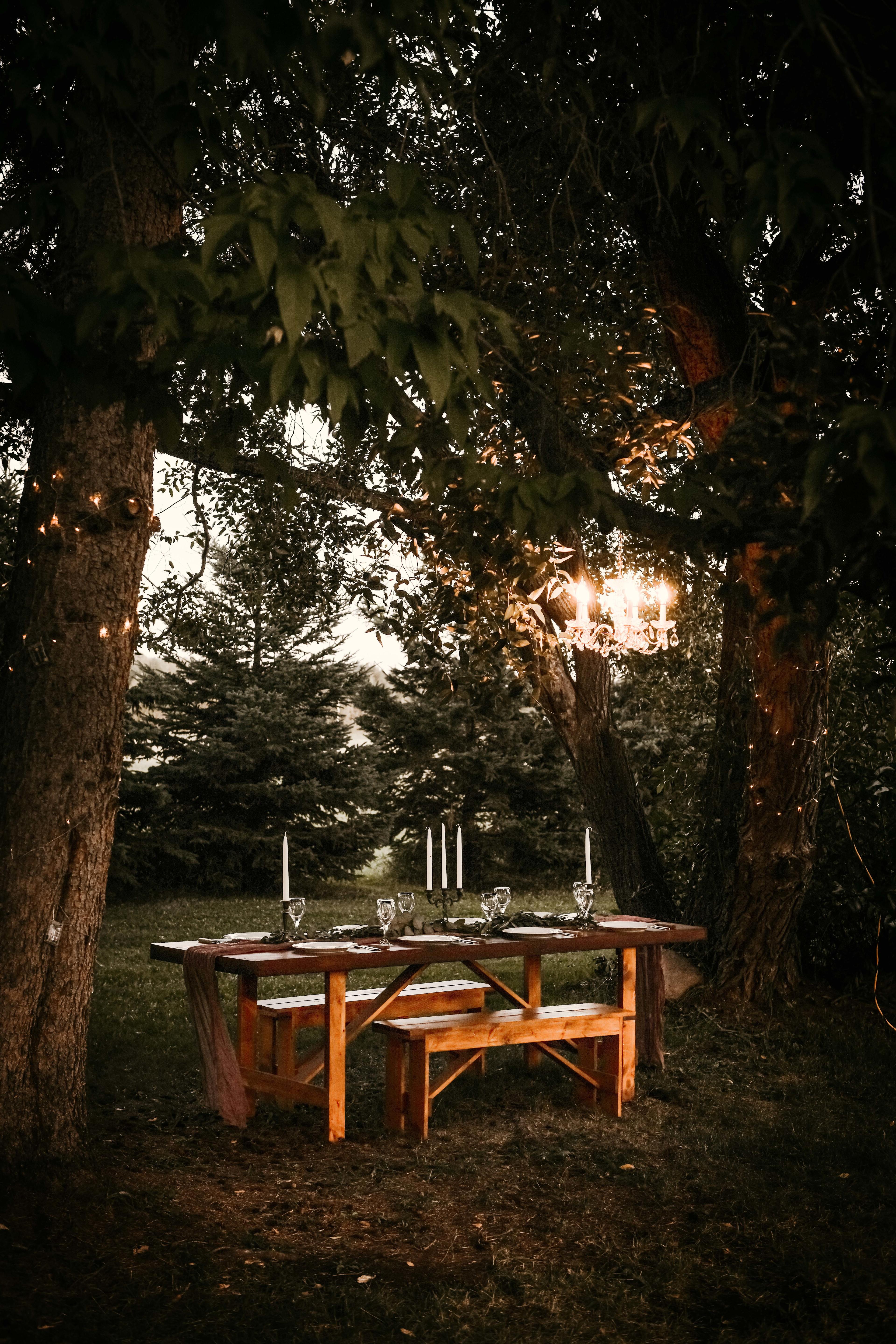 Experience a Stay at Go Hard Ranch