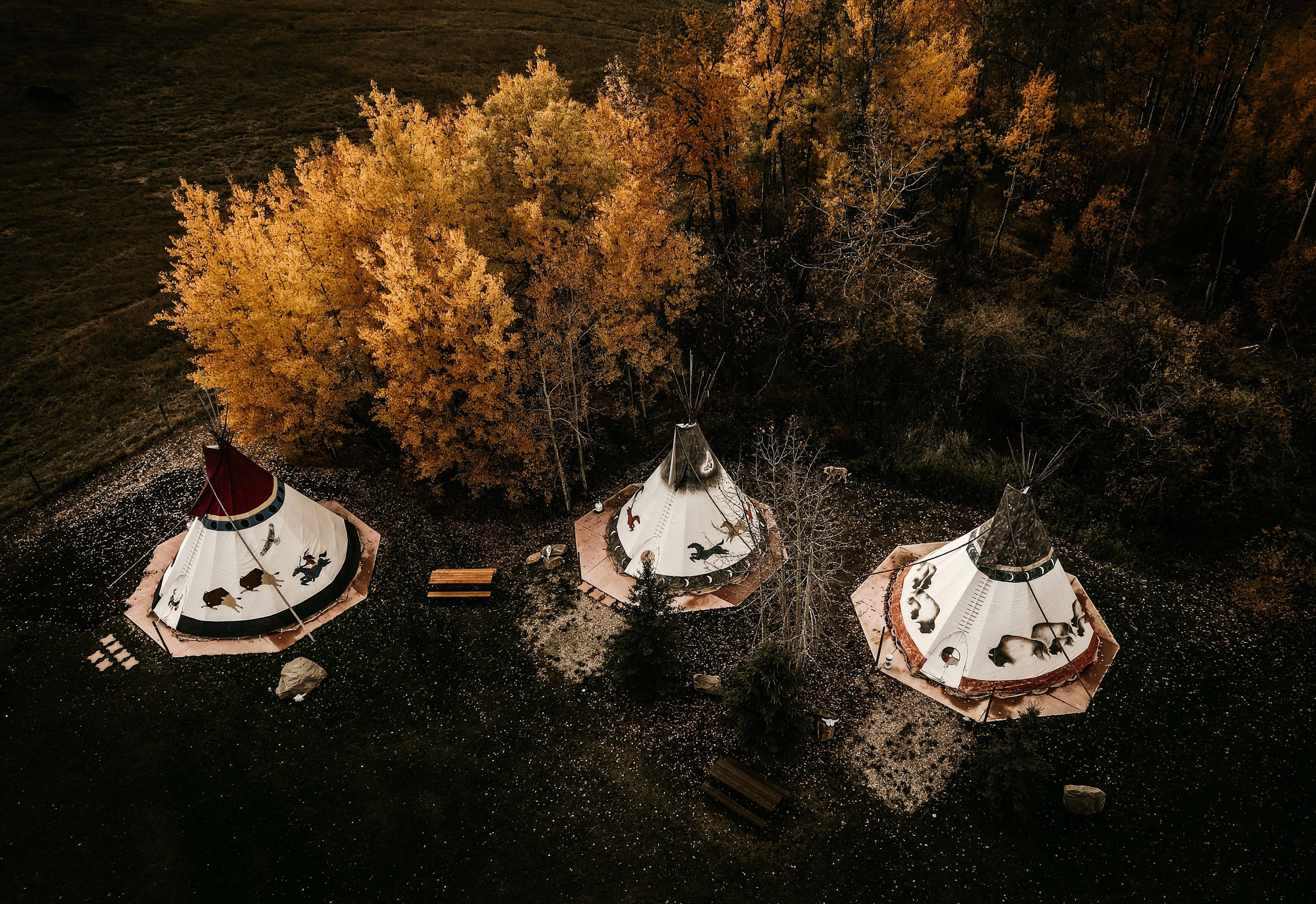 Experience a Stay at Go Hard Ranch