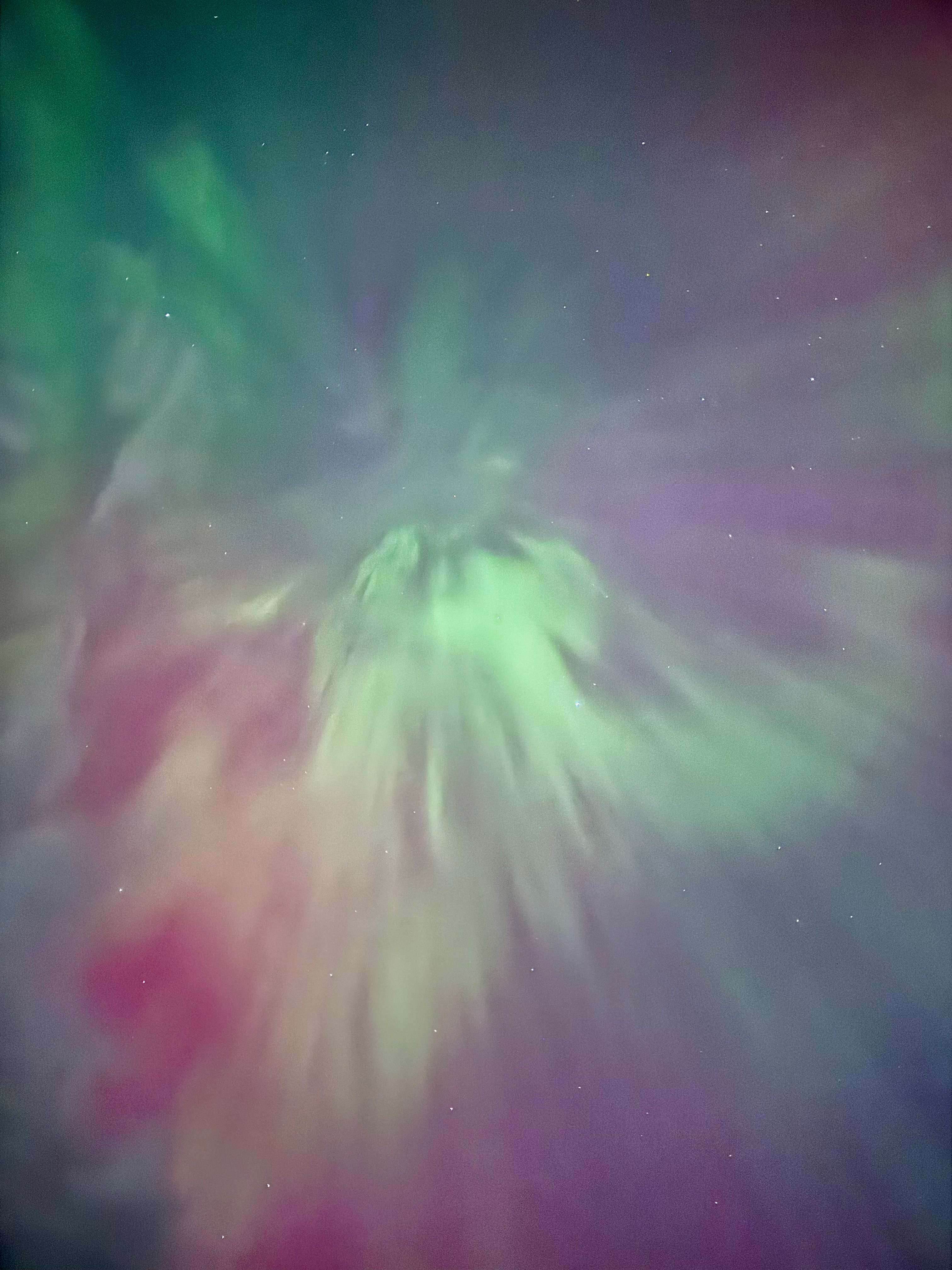 Cloud Nine Equine Ranch