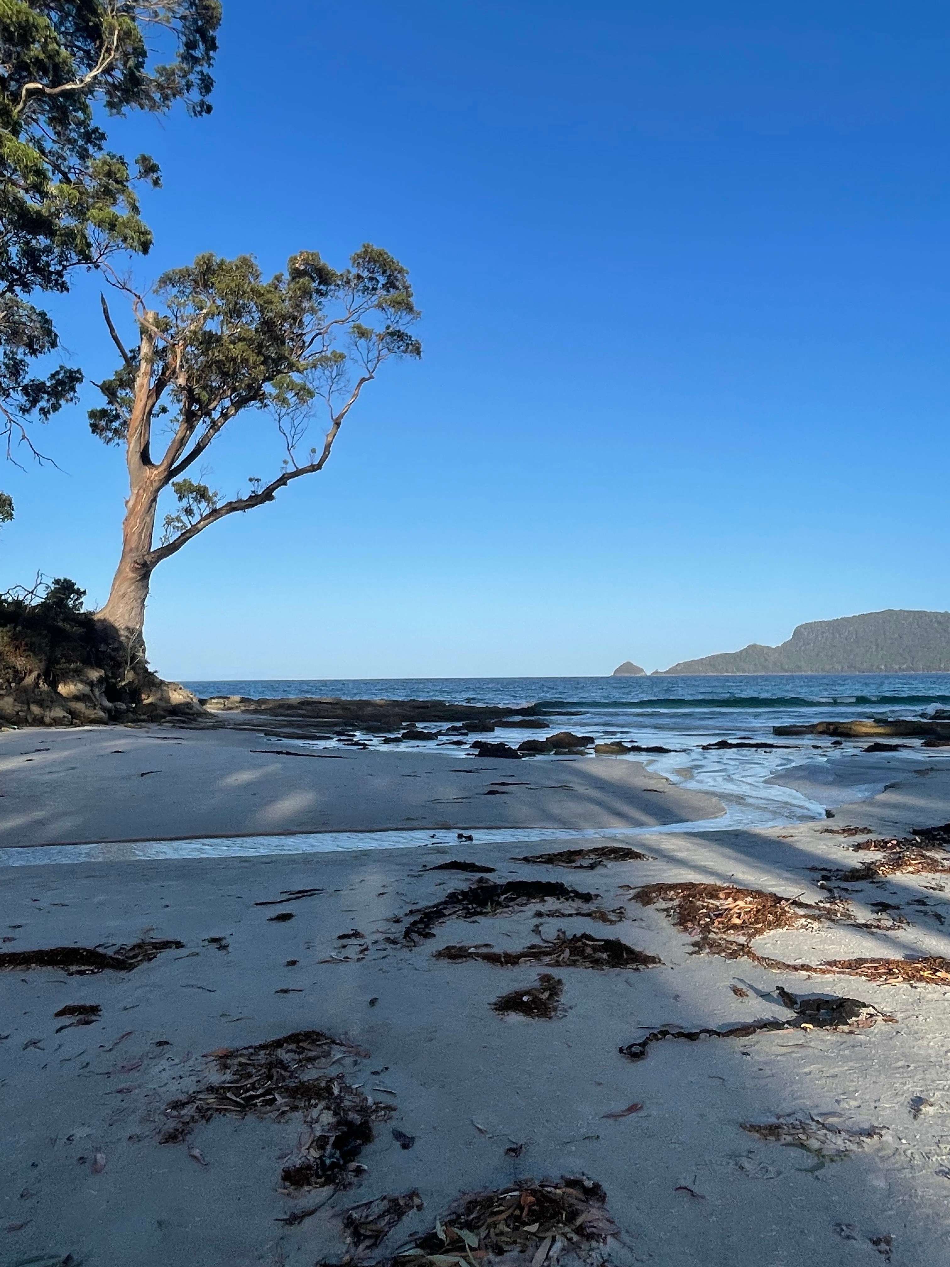 Gorgeous beach just across the road. 