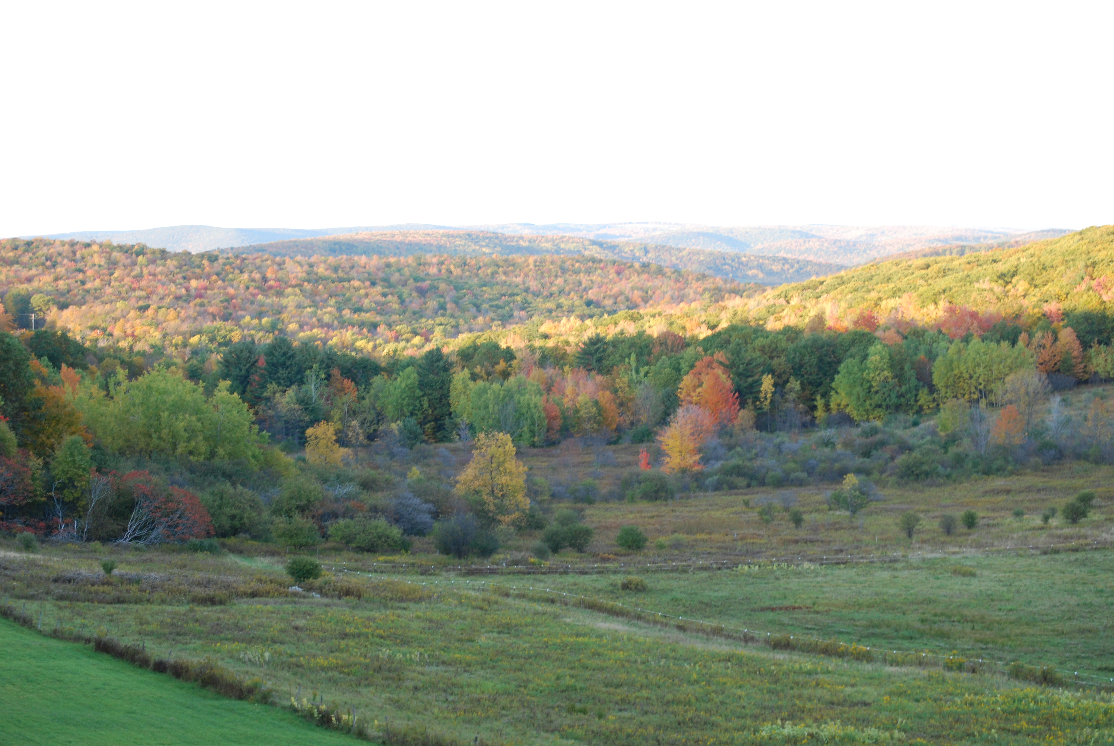 Tranquility Trails & Cabins
