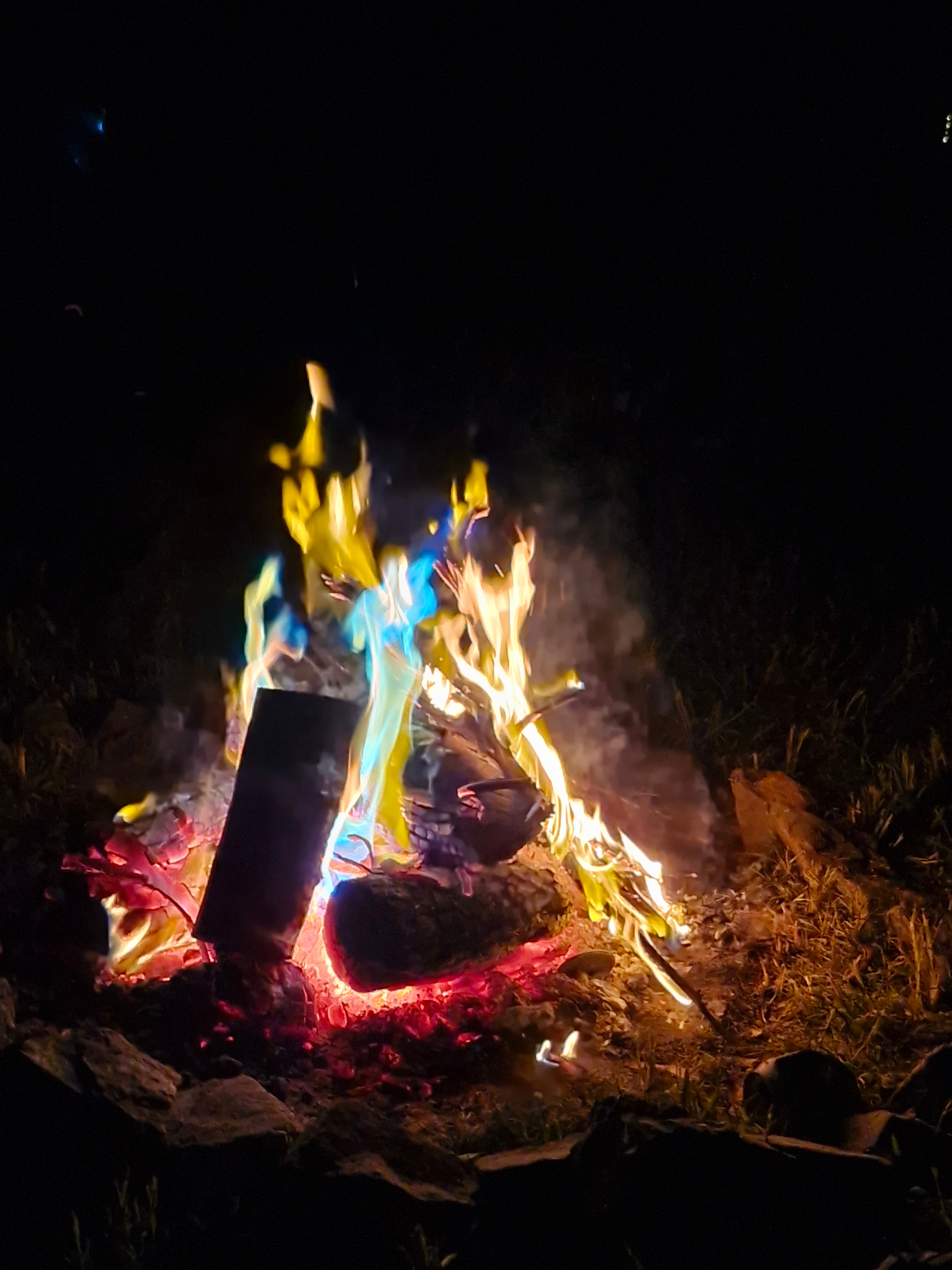 Jackaleah Farm Stay - Camping
