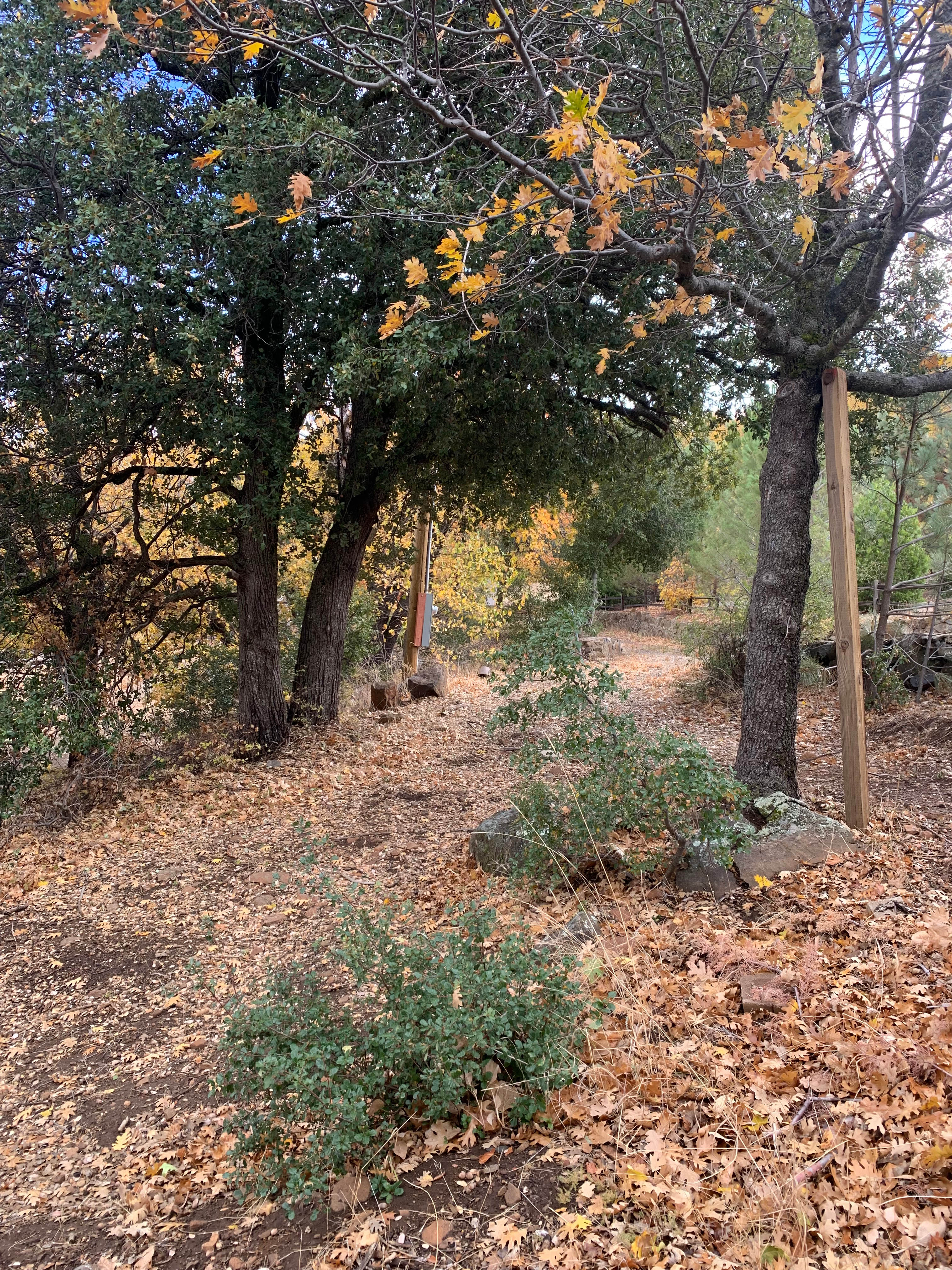 Secluded Julian Camp