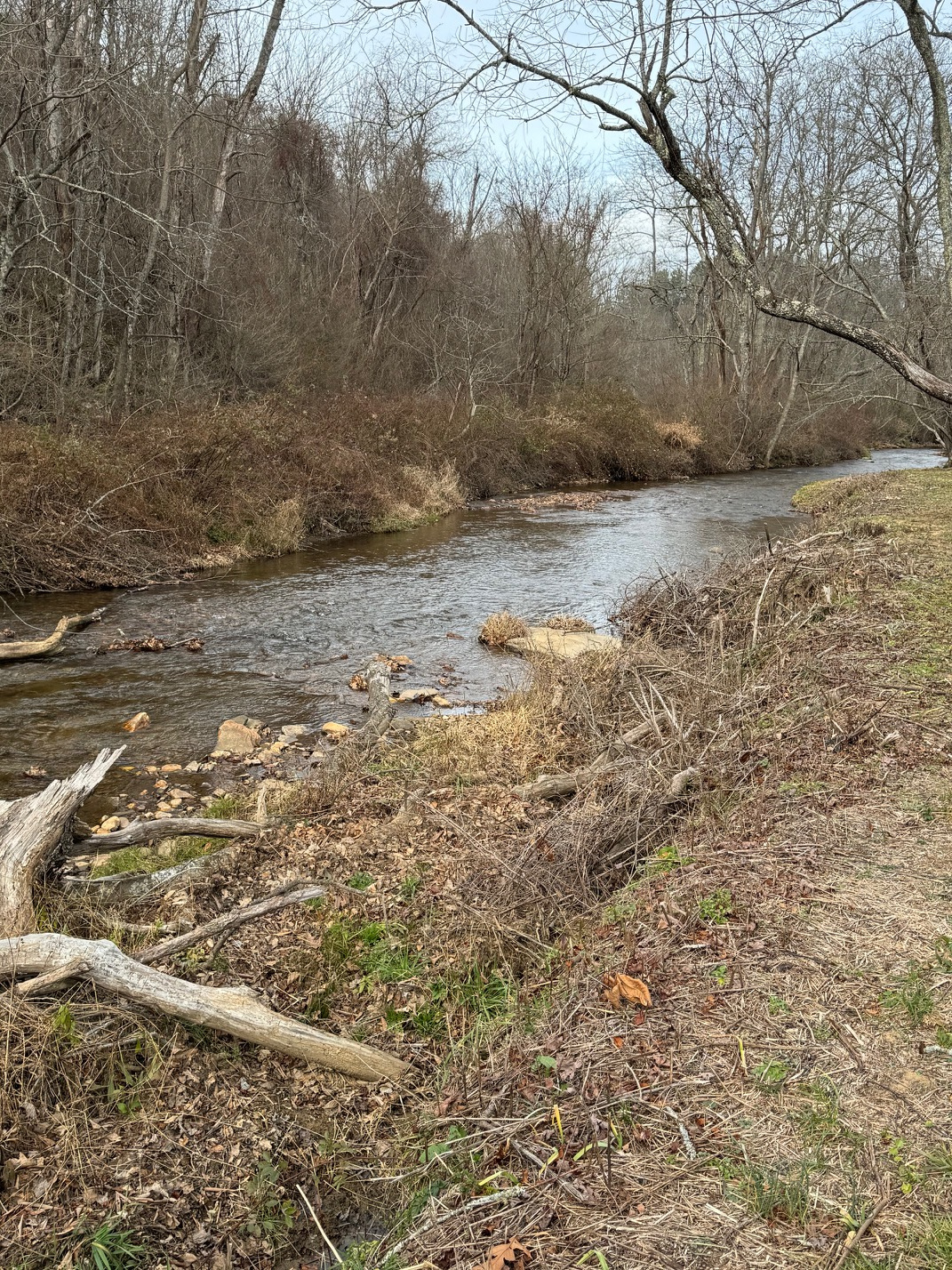 Creekside campsites