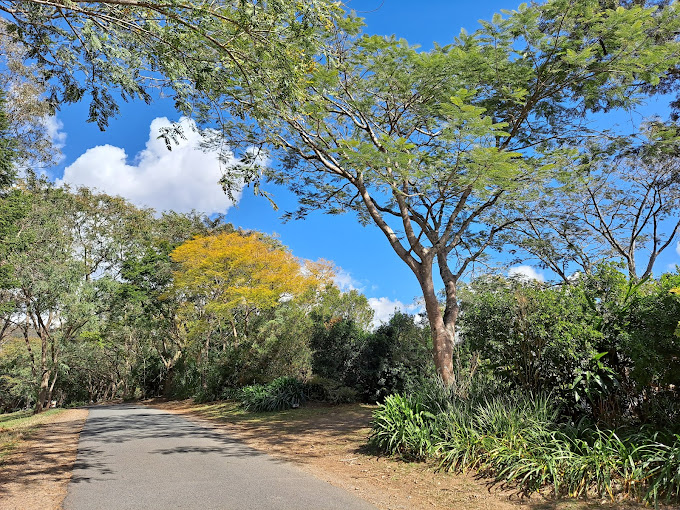 Crystal Waters Eco Park