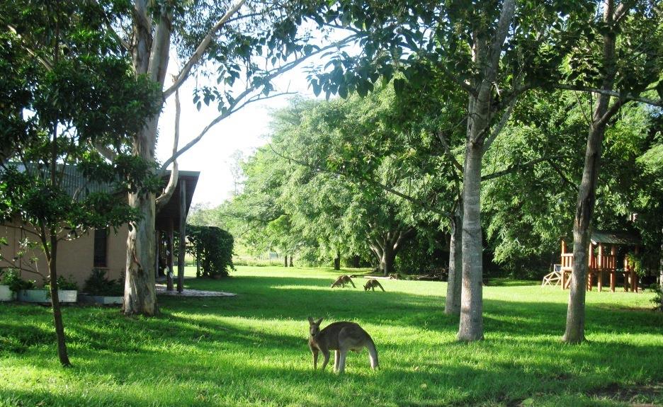 Crystal Waters Eco Park