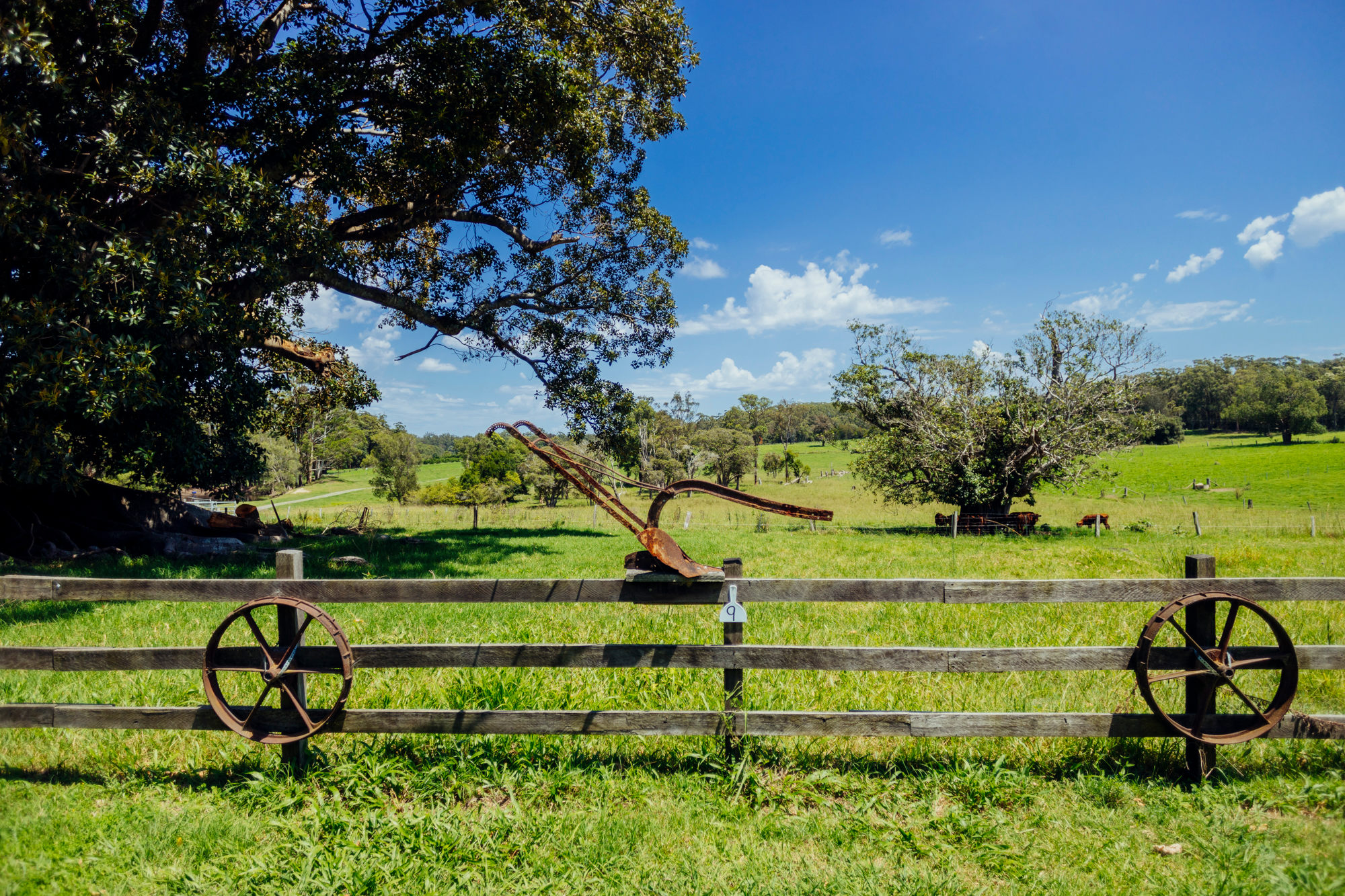 views from the campground