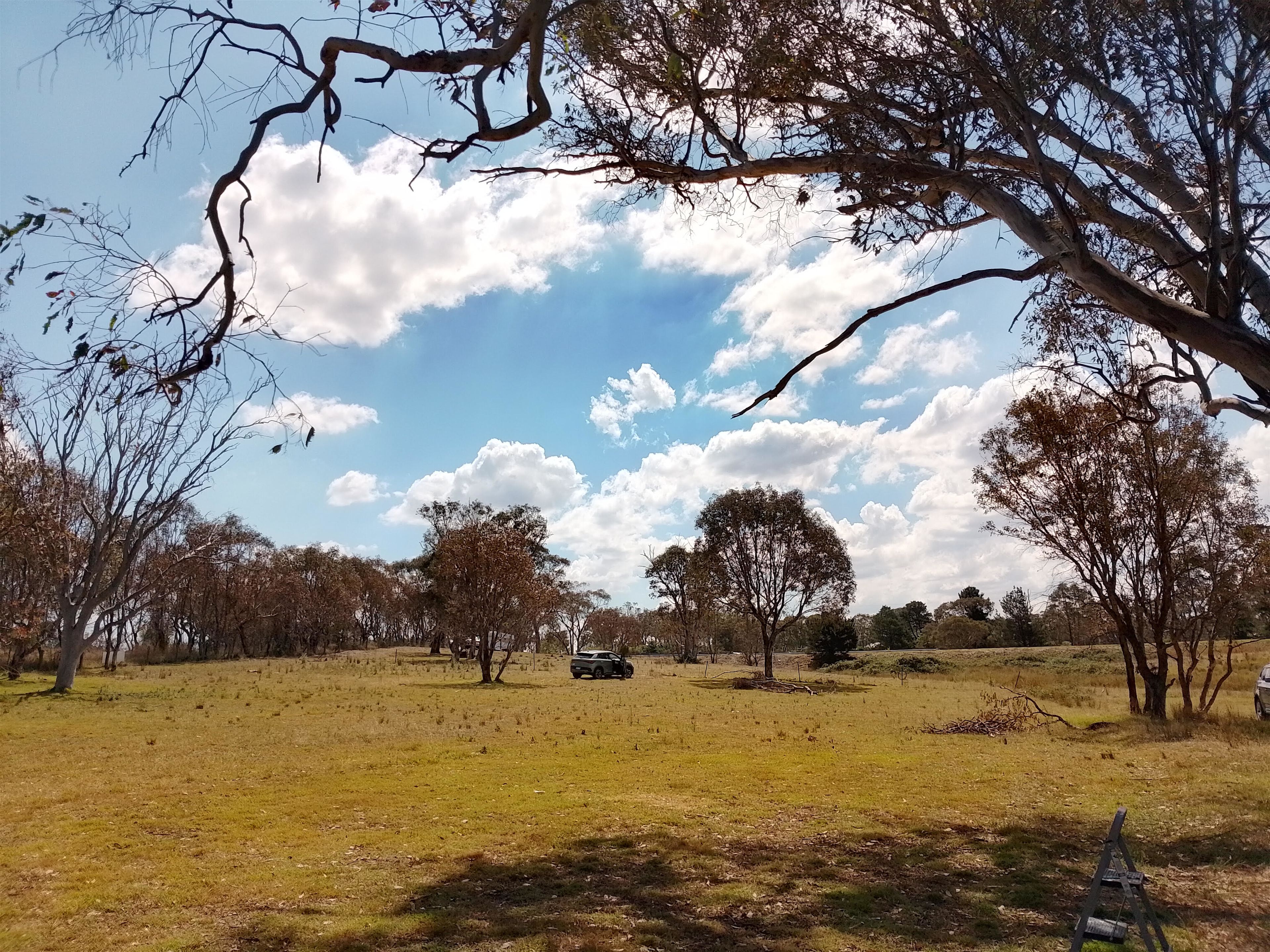 Shah Farm near Yass