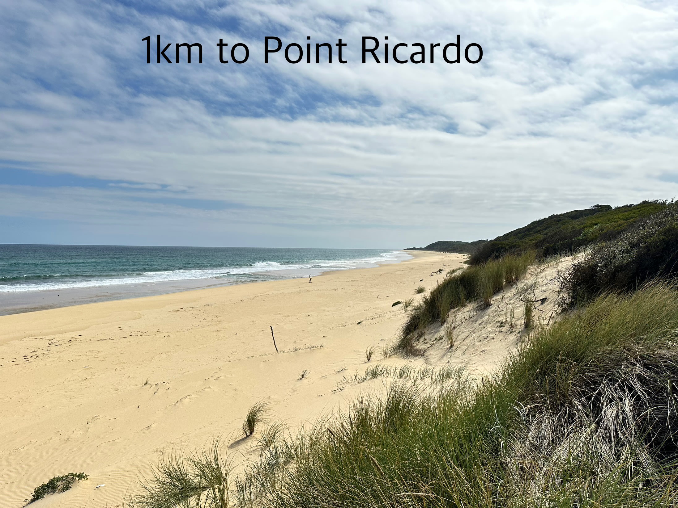 Ridge Park Cape Conran