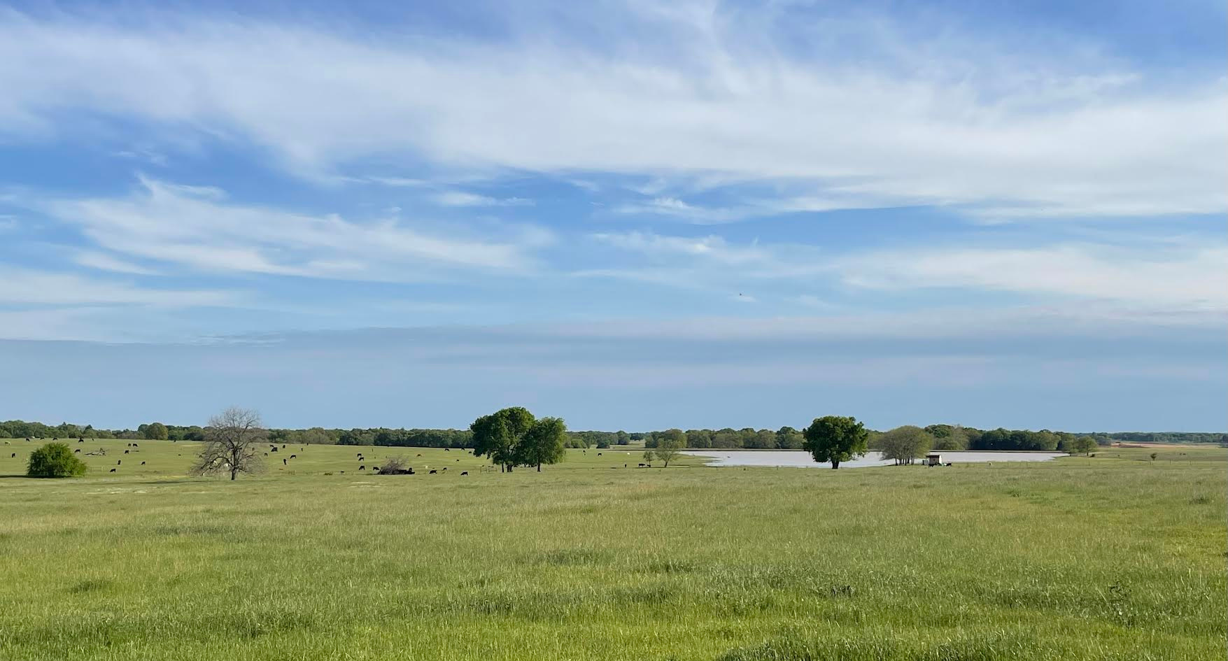 Chigger Hill Ranch