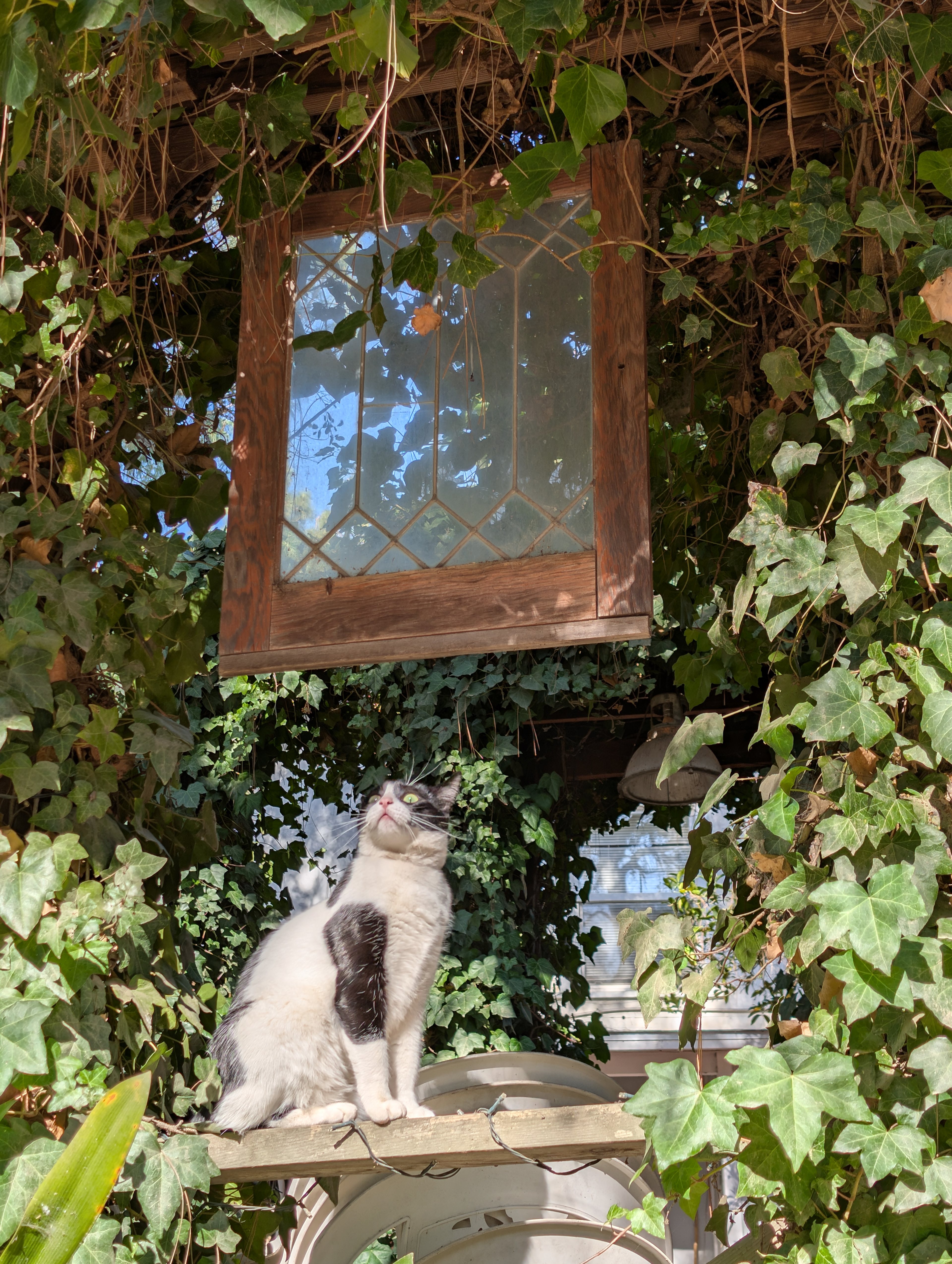 RuPaul looking fabulous 