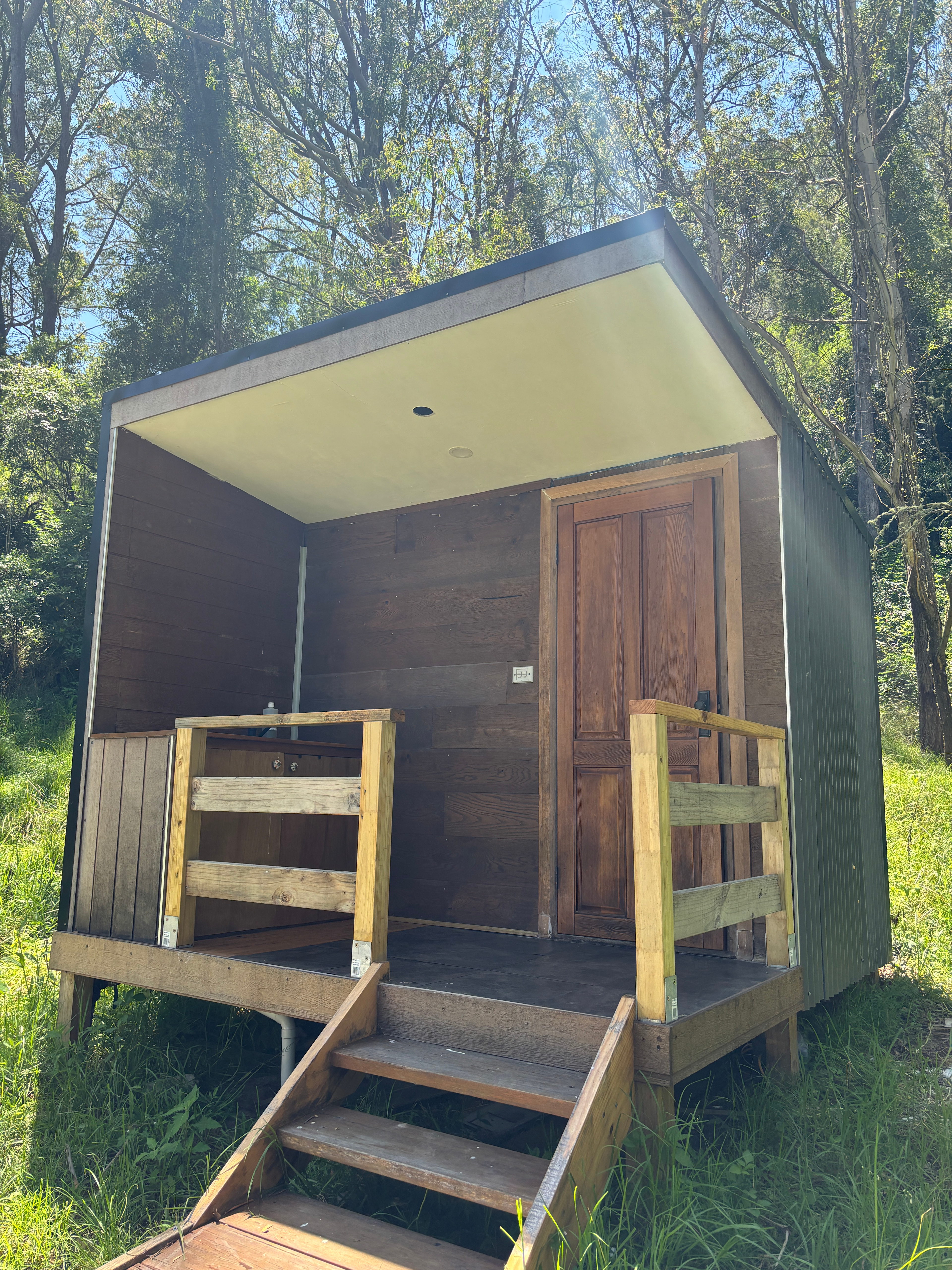 Glamping Around An Ancient Tree