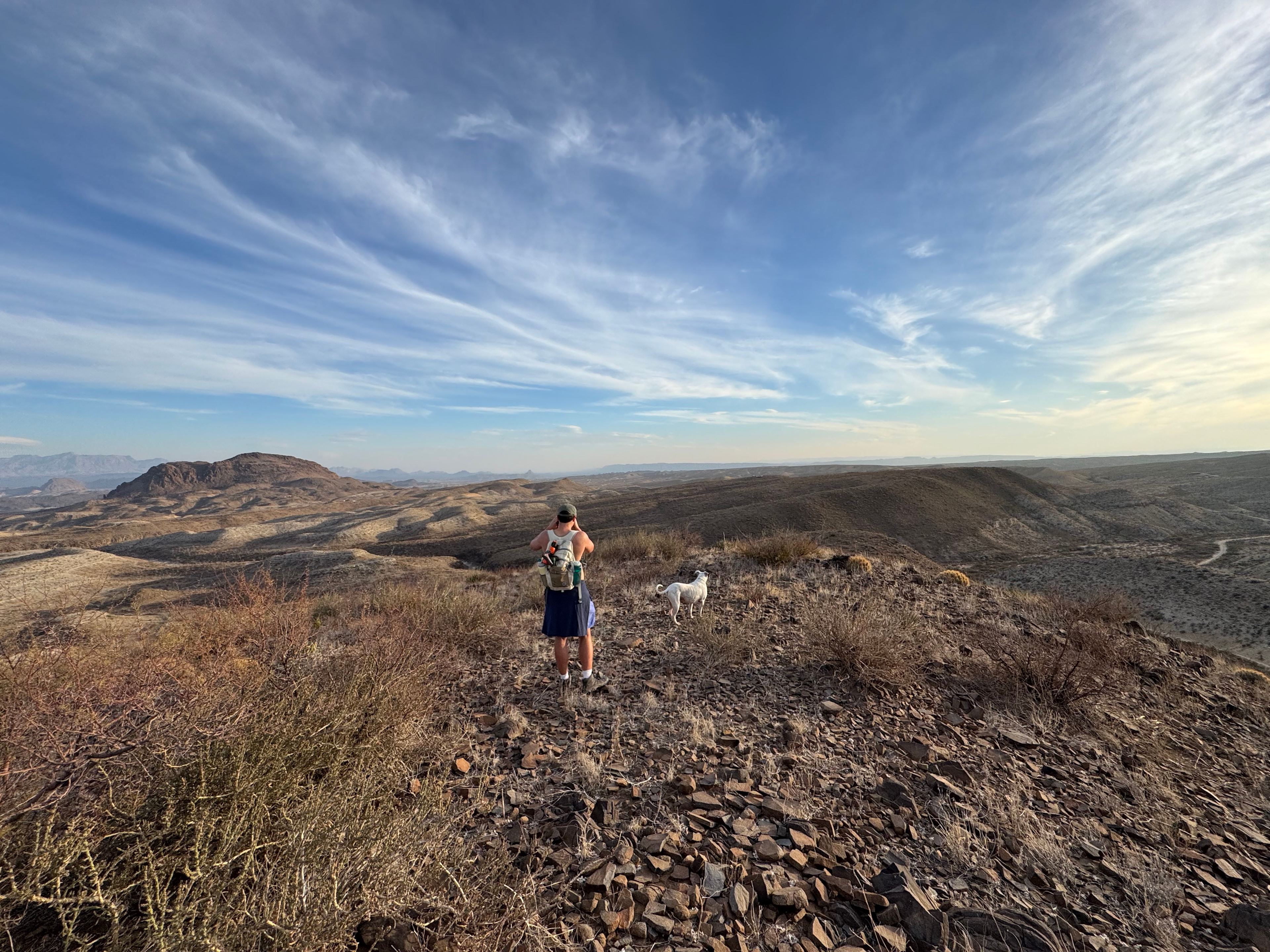 Terlingua Mountain Wildlife Camp