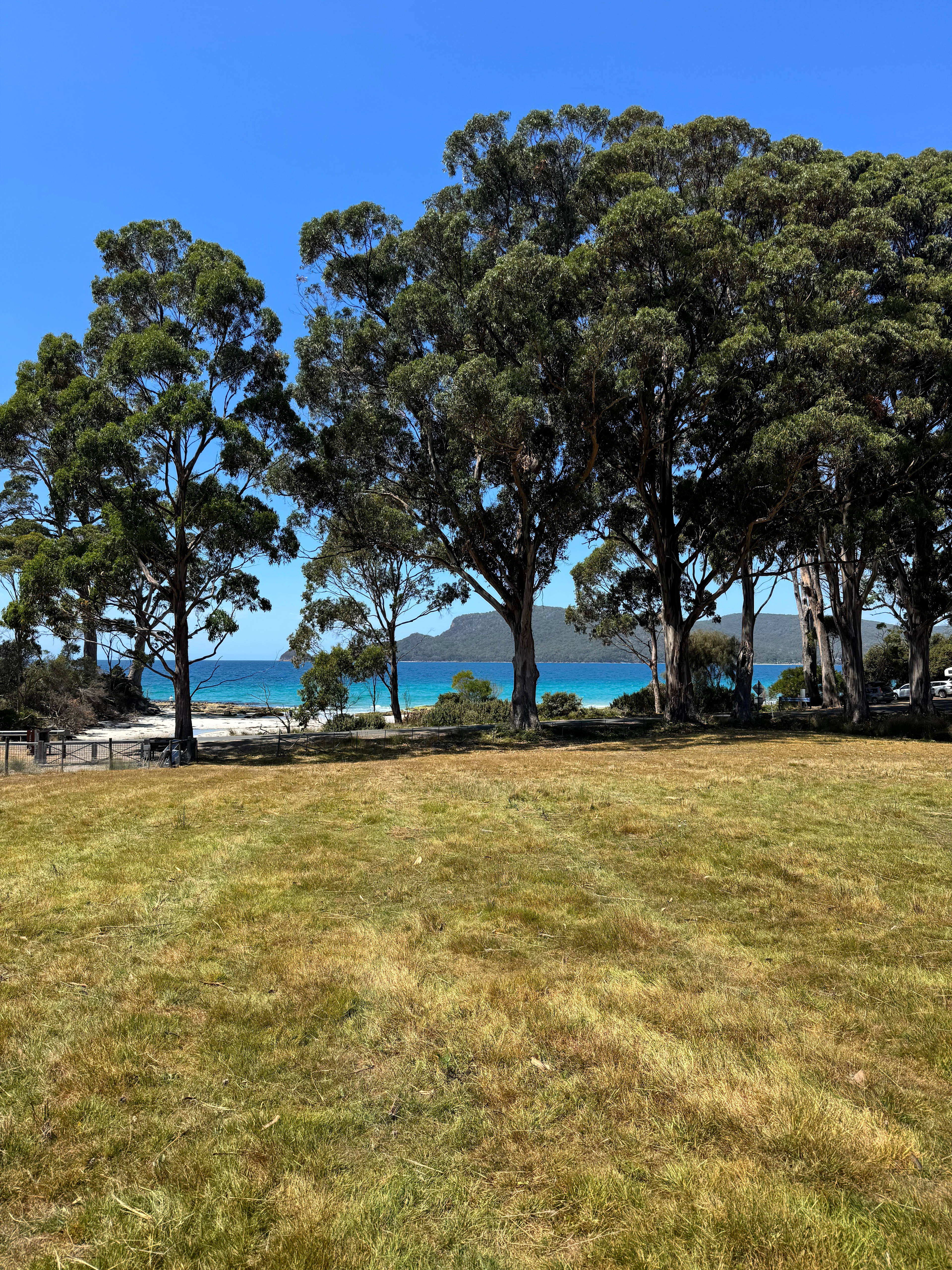 Beach Views - Resolution Farm