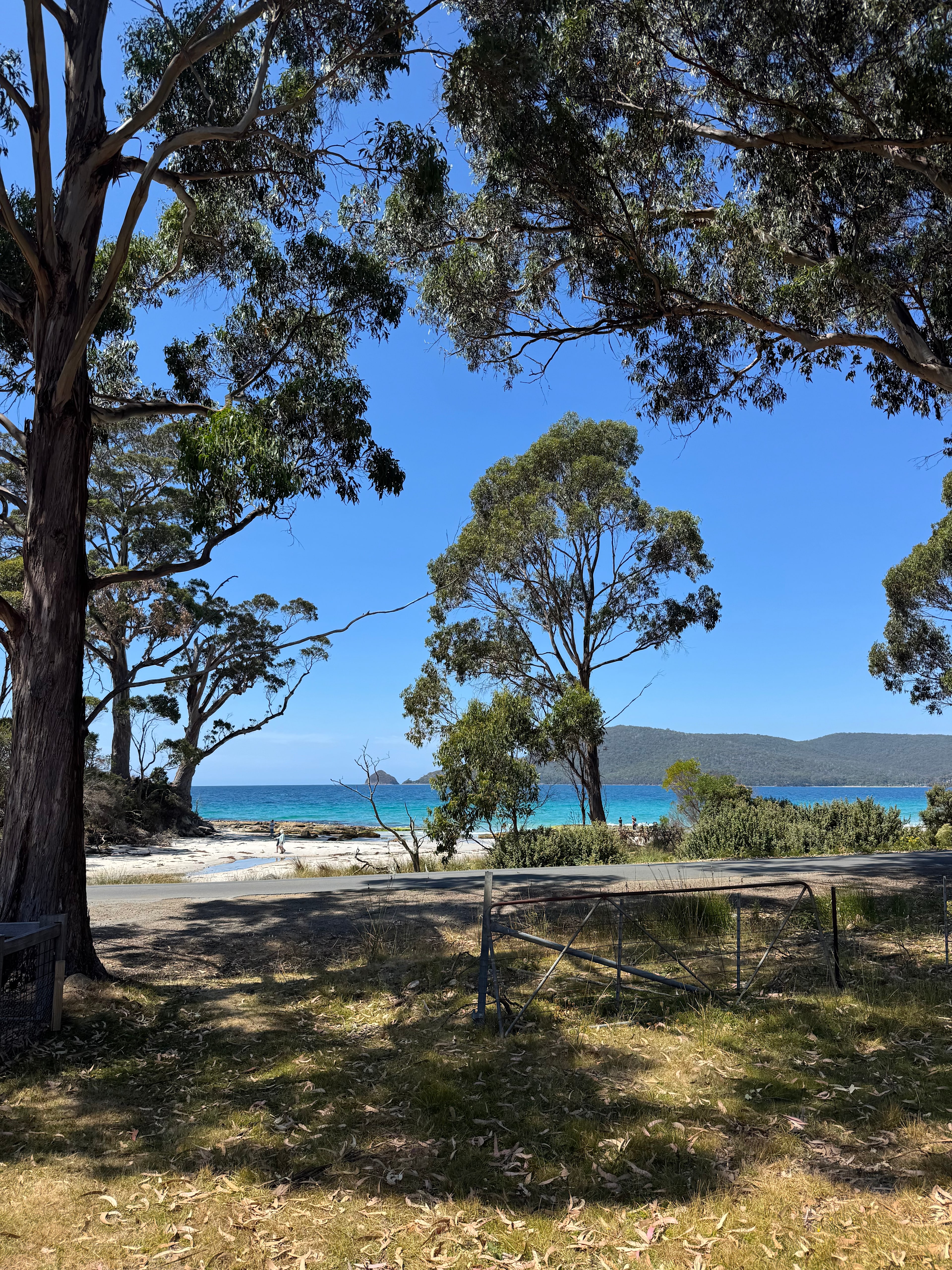 Beach Views - Resolution Farm