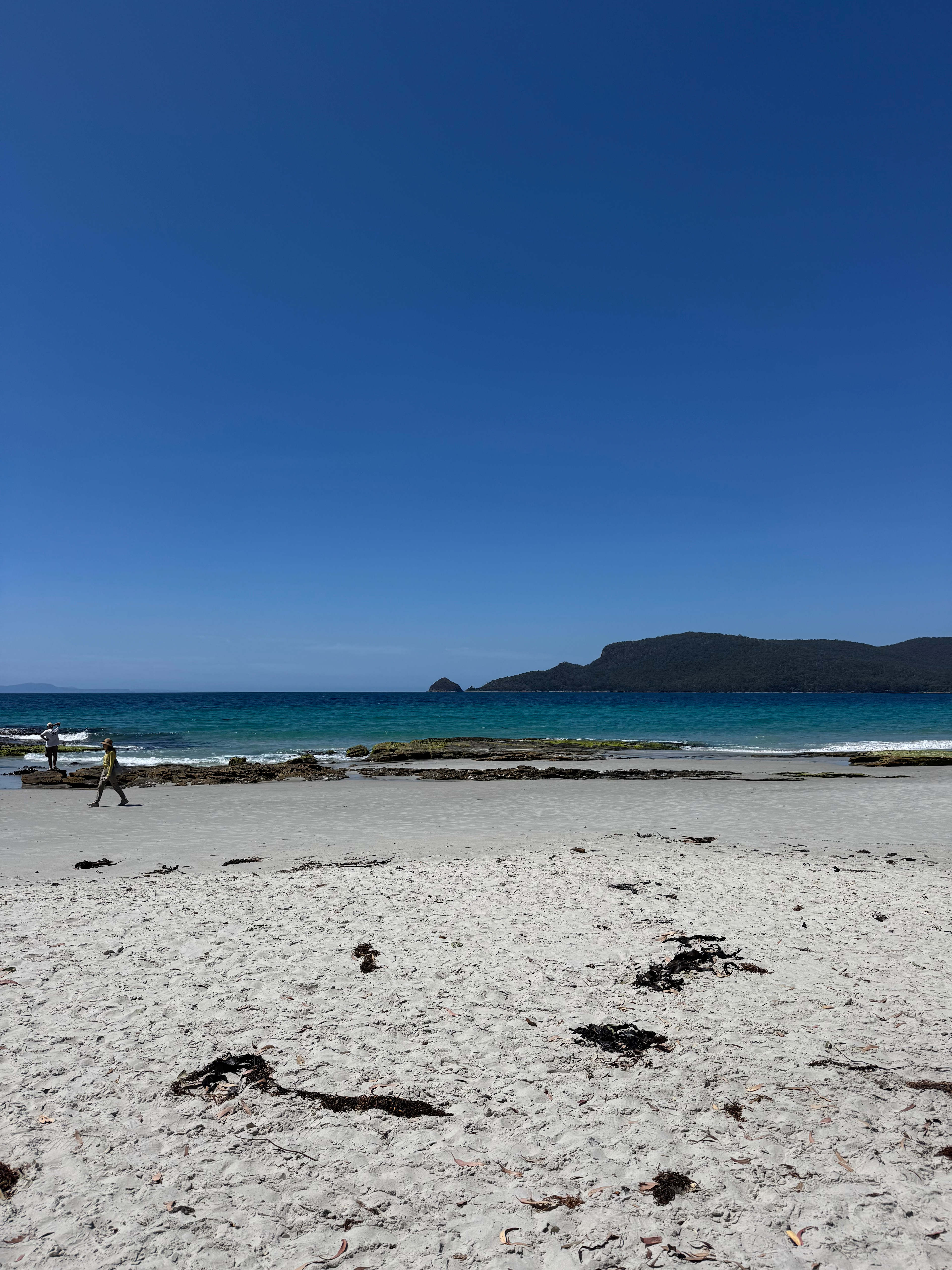 Beach Views - Resolution Farm