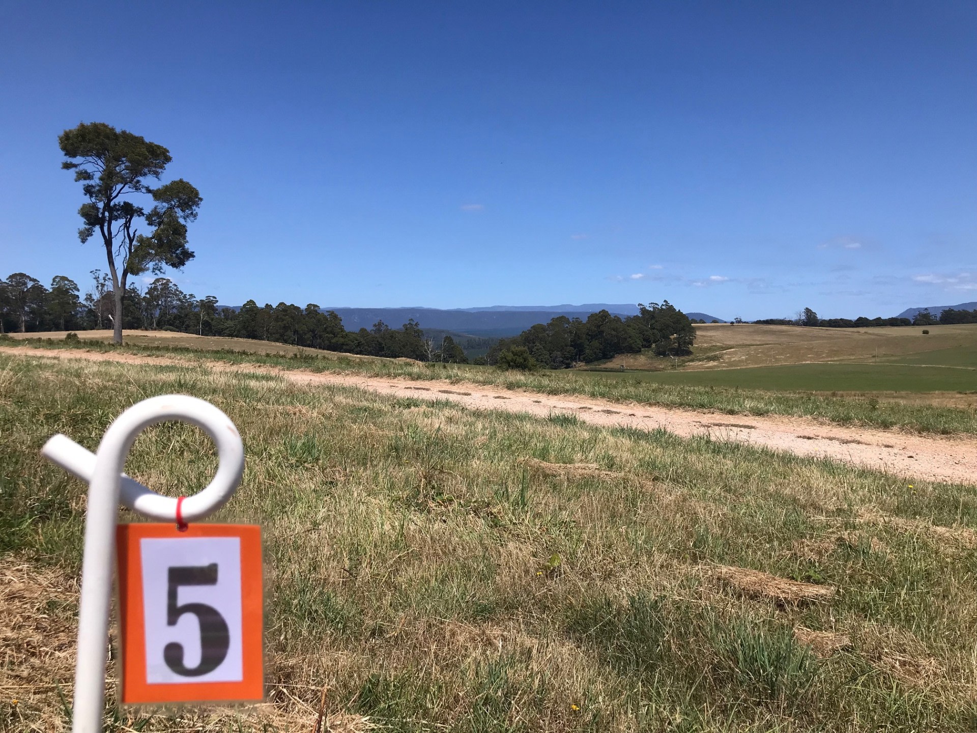 Sunridge Valley Views