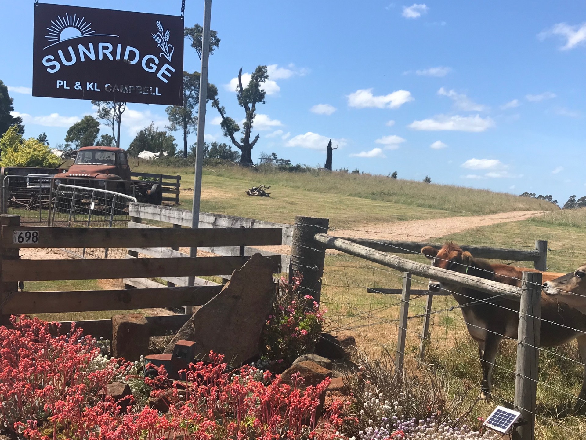 Sunridge Valley Views