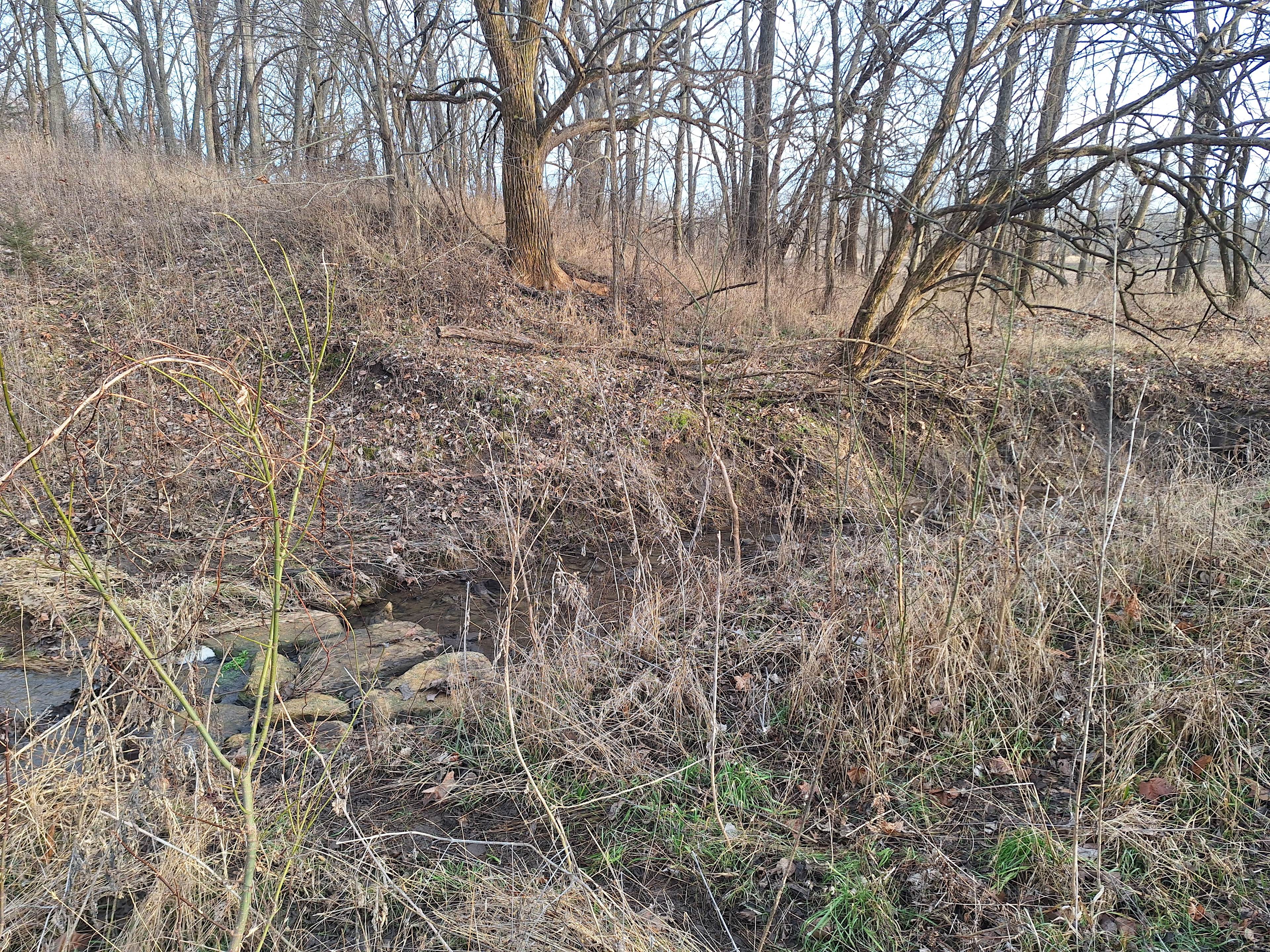 B&S Creekside Retreat LLC